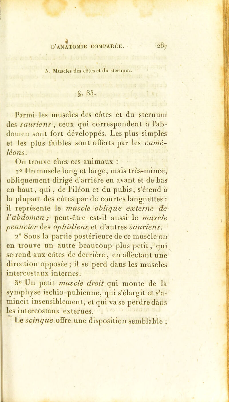 b. Muscles (les côtes et du sternum. §. 85. Parmi les muscles des côtes et du sternmu des sauriens , ceux qui correspondent à Tab- domeu sont fort développés. Les plus simples et les plus faibles sont offerts par les camé- léons. On trouve chez ces animaux : 1 Un muscle long et large, mais très-mince, obliquement dirigé d’arrière eu avant et de bas en haut, qui, de l’iléon et du pubis, s’étend à la plupart des côtes par de courtes languettes : il représente le muscle oblique externe de Vabdomen ; peut-être est-il aussi le muscle peaucier des ophidiens et d’autres sauriens. 2° Sous la partie postérieure de ce muscle on eu trouve un autre beaucoup plus petit, qui se rend aux cotes de derrière , en affectant une direction opposée j il se perd dans les muscles intercostaux internes. 3° Un petit muscle droit qui monte de la symphyse ischio-pubienne, qui s’élargit et s’a- mincit insensiblement, et qui vase perdre dans les intercostaux externes. . Le scinque offre une disposition semblable ;