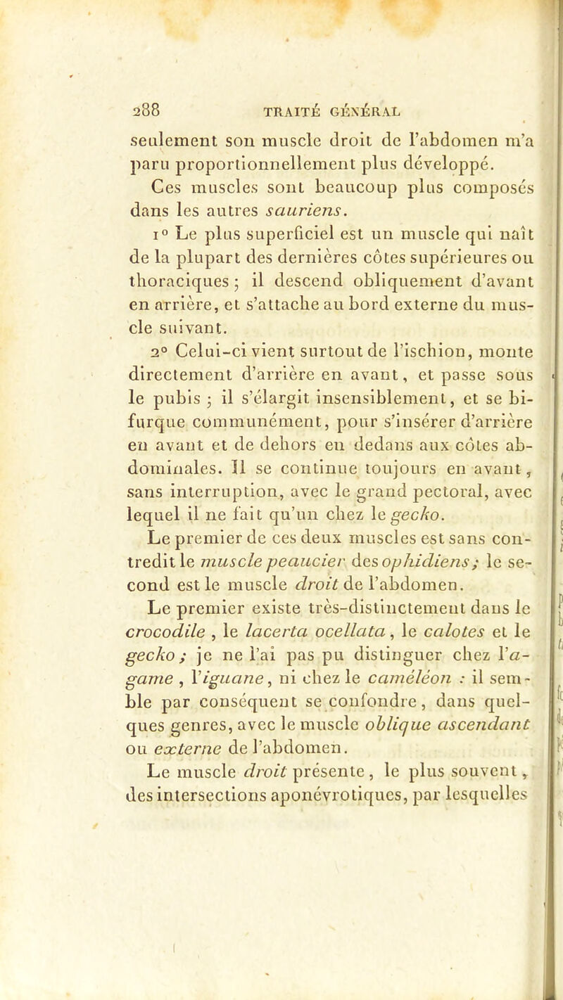 seulement son muscle droit de l’abdomen m’a paru proportionnellement plus développé. Ces muscles sont beaucoup plus composés dans les autres sauriens. 1° Le plus superficiel est un muscle qui naît de la plupart des dernières côtes supérieures ou thoraciques ; il descend obliquement d’avant en arrière, et s’attache au bord externe du mus- cle suivant. 2° Celui-ci vient surtout de l’ischion, monte directement d’arrière en avant, et passe sous le pubis J il s’élargit insensiblement, et se bi- furque communément, pour s’insérer d’arrière en avant et de dehors eu dedans aux côtes ab- dominales. Il se continue toujours en avant, sans interruption, avec le grand pectoral, avec lequel il ne fait qu’un chez \e gecko. Le premier de ces deux muscles est sans con- tredit le muscle peaucier des ophidiens ; le se- cond est le muscle droit de l’abdomen. Le premier existe très-distinctement dans le crocodile , le lacerta ocellata, le calotes et le gecko ; je ne l’ai pas pu distinguer chez Va- game , Viguane ^ ni chez le caméléon : il sem- ble par conséquent se confondre, dans quel- ques genres, avec le muscle oblique ascendant ou eæterne de l’abdomen. Le muscle J/’O/Y présente , le plus souvent, des intersections aponévrotiqucs, par lesquelles