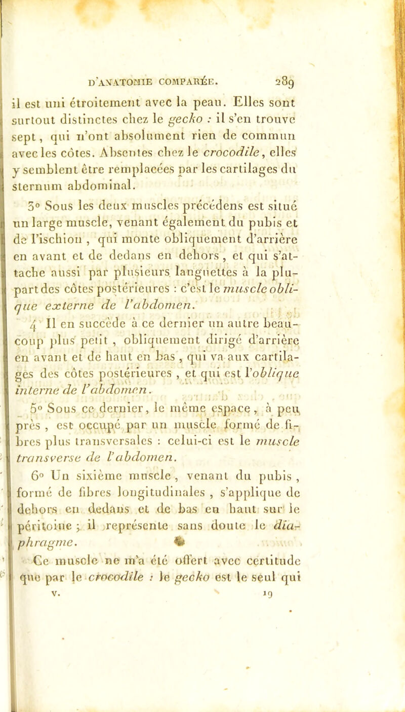 il est uni étroileraent avec la peau. Elles souE jurlout distinctes chez le gecko : il s’en trouve sept, qui n’ont absolument rien de commun avec les côtes. Absentes chez le crocodile ^ elles y semblent être remplacées par les cartilages du sternum abdominal. 5“ Sous les deux muscles précédens est situé un large muscle, venant également du pubis et de l’iscbion , qui monte obliquement d’arrière en avant et de dedans en dehors , et qui s’at- tache aussi par plusieurs languettes à la plu- part des côtes postérieures : c'cslle muscle obli- que externe de l’abdomen. 4' Il en succède à ce dernier un autre beau- coup plus peiit , obliquement dirigé d’arrière en avant et de haut en bas , qui va aux cartila- ges des côtes postérieures , et qui est Voblique interne de Vabdomen. ■ b '• 5“ Sous ce dernier, le même espace, à peu près , CSC occupé par un muscle formé de fi- bres plus transversales : celui-ci est le muscle transverse de l’abdomen. 6° Un sixième muscle , venant du pubis , formé de fibres longitudinales , s’a])plique de dehors en dedans et de bas en haut sur le péritoine ; il représente sans doute le dia-r P lira g me. % Ge muscle ne m’a été offert avec certitude que par \e crocodile : le gecko est le seul qui V.