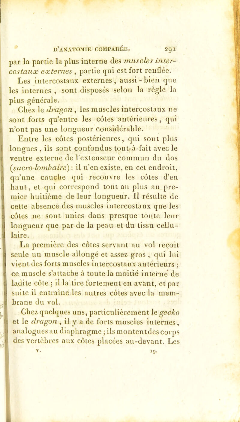 par la partie la plus interne des muscles inter- costauæ eocternes ^ partie qui est fort renflée. Les intercostaux externes, aussi-bien que les internes , sont disposés selon la règle la plus générale. Chez le dragon , les muscles intercostaux ne sont forts qu’entre les côtes antérieures, qui n’ont pas une longueur considérable. Entre les côtes postérieures, qui sont plus longues , ils sont confondus tout-à-fait avec le ventre externe de l’extenseur commun du dos {sacro-lombaire) : il n’en existe, en cet endroit, qu’une couche qui recouvre les côtes d’en haut, et qui correspond tout au plus au pre- mier huitième de leur longueur. Il résulte de cette absence des muscles intercostaux que les côtes ne sont unies dans presque toute leur longueur que par de la peau et du tissu cellu- laire. La première des côtes servant au vol reçoit seule un muscle allongé et assez gros , qui lui vient des forts muscles intercostaux antérieurs ; ce muscle s’attache à toute la moitié Interne de ladite côte ; il la tire fortement en avant, et par suite il entraîne les autres côtes avec la mem- brane du vol. Chez quelques uns, particulièrement le gecko et le dragon , il y a de forts muscles internes, analogues au diaphragme ; ils montentdes corps des vertèbres aux côtes placées au-devant. Les V. 19.