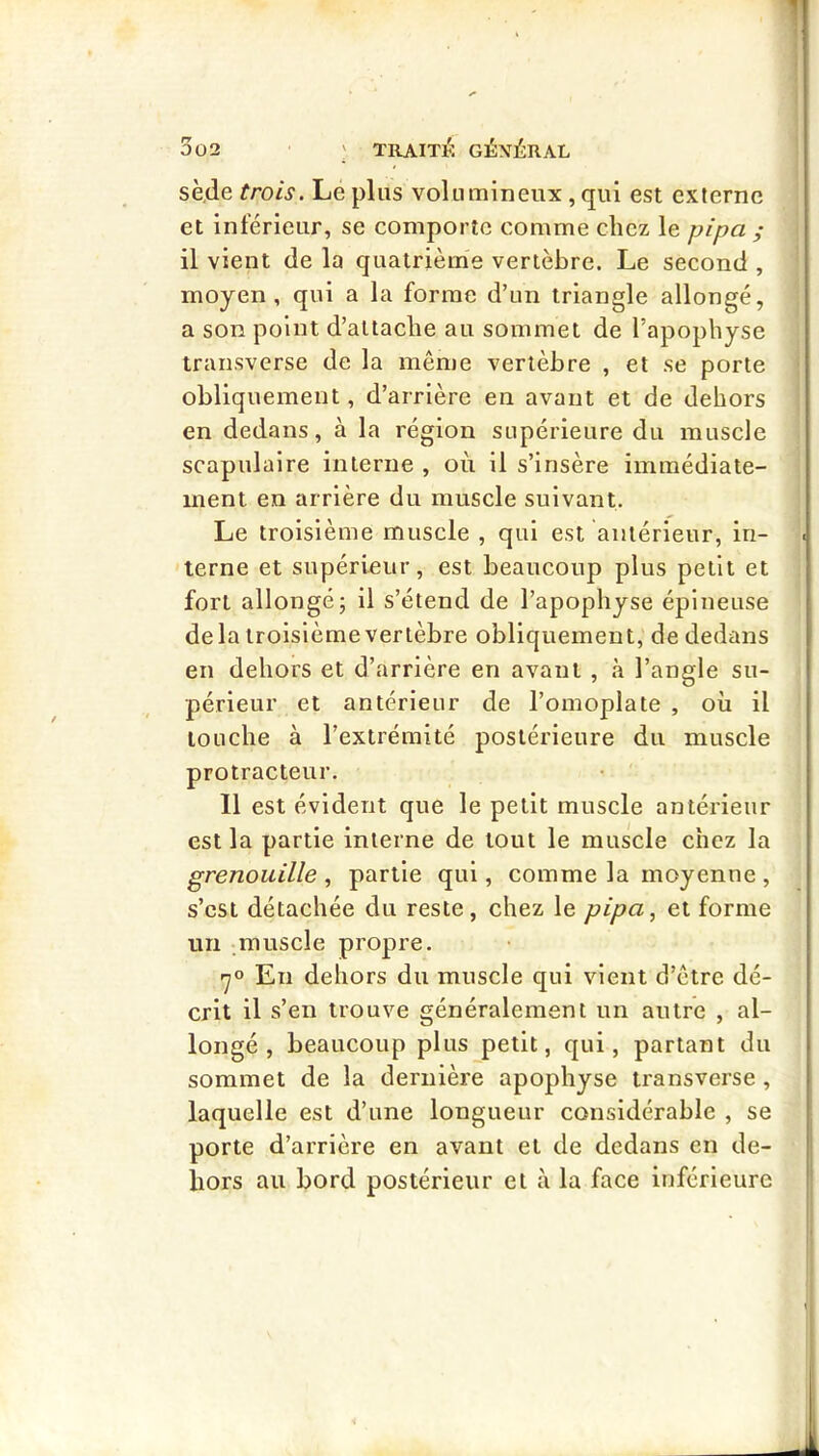 1 002 ' TRAITÉ GÉNÉRAL sède trois. Le plus volumineux, qui est externe et inférieur, se comporte comme chez le pipa ; il vient de la quatrième vertèbre. Le second , moyen, qui a la forme d’un triangle allongé, a son point d’attache au sommet de l’apophyse transverse de la même vertèbre , et se porte obliquement, d’arrière en avant et de dehors en dedans, à la région supérieure du muscle scapulaire interne , où il s’insère immédiate- ment en arrière du muscle suivant. Le troisième muscle , qui est antérieur, in- terne et supérieur, est beaucoup plus petit et fort allongé; il s’étend de l’apophyse épineuse delà troisième vertèbre obliquement, de dedans en dehors et d’arrière en avant , à l’angle su- périeur et antérieur de l’omoplate , où il louche à l’extrémité postérieure du muscle protracteur. 11 est évident que le petit muscle antérieur est la partie interne de tout le muscle chez la grenouille , partie qui, comme la moyenne , s’csi détachée du reste, chez le pipa^ et forme un muscle propre. rjo En dehors du muscle qui vient d’être dé- crit il s’en trouve généralement un autre , al- longé , beaucoup plus petit, qui, partant du sommet de la dernière apophyse transverse , laquelle est d’une longueur considérable , se porte d’arrière en avant et de dedans en de- hors au bord postérieur et à la face inférieure