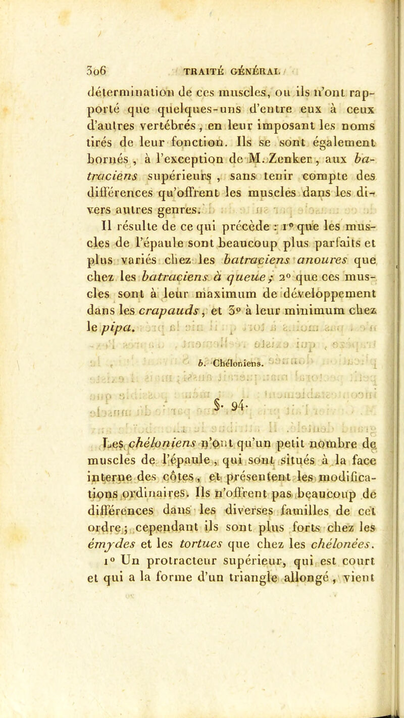 (Jélermiiialion de ccs muscles, ou ils n’oiu rap- porté que quelques-uns d’entre eux à ceux d’autres vertébrés, en leur imposant les noms tirés de leur fonction. Ils se sont également bornés , à l’exception de M.;Zenker, aux ba- traciens supérieurs , sans tenir compte des différences qu’offrent les muscles.dans les di-» vers autres genres;' ' n;- ^ ‘ Il résulte de ce qui précède r i ® que les mus- cles de l’épaule sont beaucoup plus parfaits et plus îvariés chez* les batraciens 'anoures que, chez les batraciens, à queue; 2® que ces mus- cles sont à leur maximum deidéveloppement dans les crapauds, et 5^ à leur minimum chez le pipa, fl. ;;'.i -1 . ^ • l'.'j ,11 (. MUi.i > ) i •- ’i* . OJtii.- J li.'p , r, b. Chëloniens. ^ . - , , , ■■ - : .. . ^ • .1 s _ ' -* . - i . 1 • . ' . ' r §• 94* •i -rifi ■-! '! . *..1. . A- . . Jll LeS;C^e7on(eni' u’oî!l qu’un petit nombre de, muscles de bépaule qui sont situés à la face interne des côtes-, et; présententples modifica- tions ordinaires. Ils n’offrent pas, beaucoup de différences dans’les diverses familles de cél ordrÇj; cependant ils sont plus forLs chez les éruj-des et les tortues que chez les chèlonées. I® Un protractcur supérieur, qui est court et qui a la forme d’un triangle allongé, vient