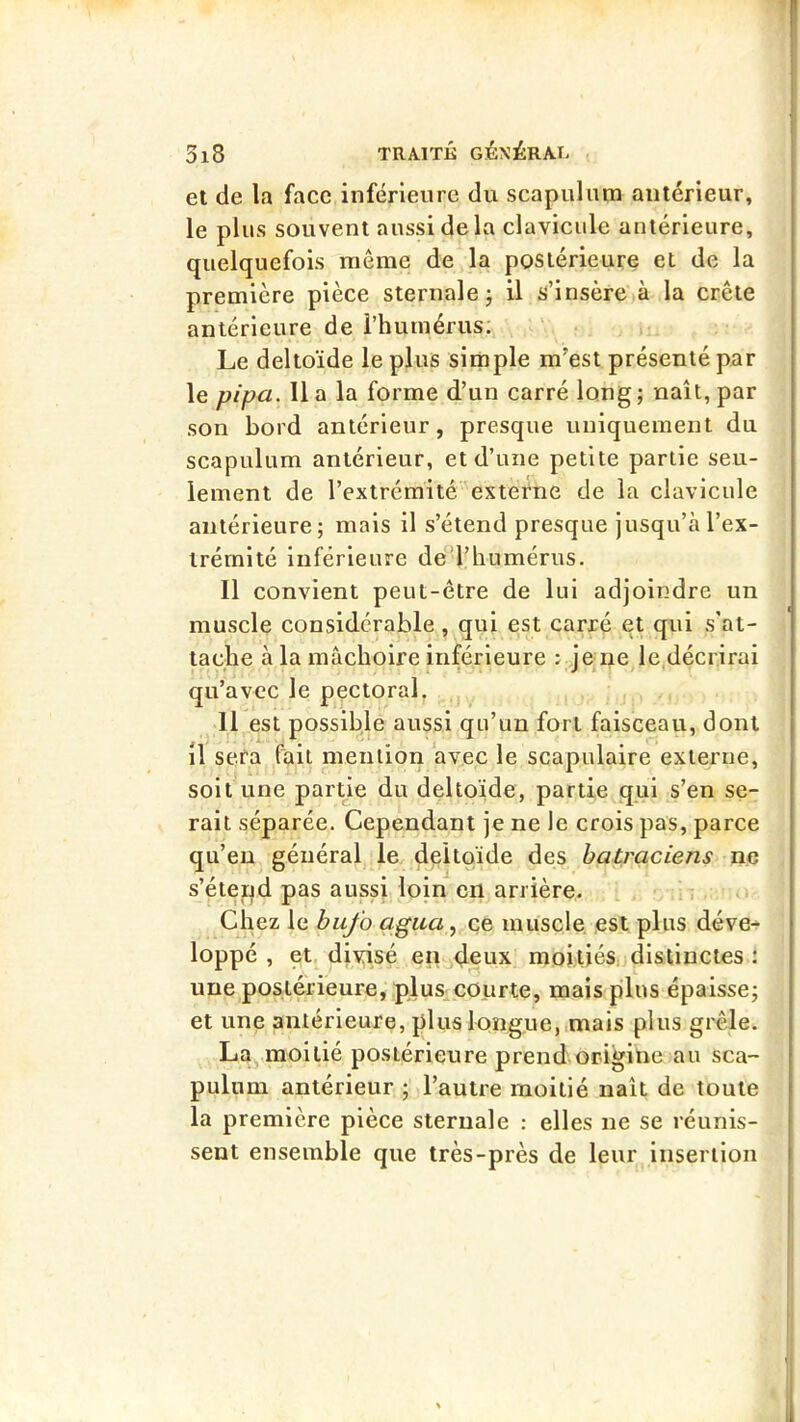 et de la face inférieure du scapulura antérieur, le plus souvent aussi de la clavicule antérieure, quelquefois même de la postérieure et de la première pièce sternale j il s’insère à la crête antérieure de l’humérus; Le deltoïde le plus sirnple m’est présenté par le pipa. lia la forme d’un carré long; naît, par son bord antérieur, presque uniquement du scapulum antérieur, et d’une petite partie seu- lement de l’extrémité externe de la clavicule antérieure; mais il s’étend presque jusqu’à l’ex- trémité inférieure de^l’humérus. Il convient peut-être de lui adjoindre un muscle considérable, qui est carré et qui s’at- tache à la mâchoire inférieure j je ne le décrirai qu’avec le pectoral, 11 est possible aussi qu’un fort faisceau, dont il sefa fait mention avec le scapulaire externe, soit une partie du deltoïde, partie qui s’en se- rait séparée. Cependant je ne le crois pas, parce qu’en général le deltoïde des batraciens ne s’étend pas aussi loin en arrière. Chez le biifo agiui, ce muscle, est plus déve- loppé , et divisé en deux moitiés, distinctes : une postérieure, plus courte, mais plus épaisse; et une antérieure, plus longue, mais plus grêle. La moitié postérieure prend origine au sca- pulum antérieur ; l’autre moitié naît de toute la première pièce sternale : elles ne se réunis- sent ensemble que très-près de leur insertion