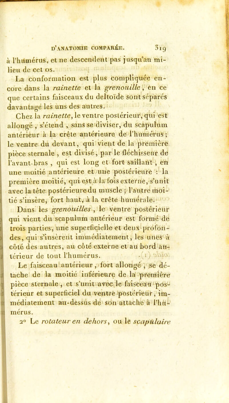 I d’anatomie comparée. 3i9 à l’hümérus, et ne descendent pas jusqu’au mi- lieu de cet os. i La conformation est plus compliquée en- core dans la rainette et la grenouilleen ce que certains faisceaux du deltoïde sont séparés davantagé les uns des autres.- Chez la rainette^ le ventre postérieur, qui 'est allongé s’étend , sans seidiviser, du scâpuliun antérieur à la crête antérieure de riiumérus ; le ventre du devant, qui vient de la première, pièce sternale , est divisé, par le fléchisseur de l’avant-bras , qui est long et> fort saillaüt^’, en une moitié antérieure etJime postérieure': la première moitié, qui est àila fois externe,'s’unit avec la tête postérieure du muscle ; l’autre moi- tié s’insère, fort haut, à la crête huméralei* ' Dans; les grenouilles , le ventre postérieur qui vient du scapuium antérieur est formé de trois parties', une superficielle et deux^profon- des, qui s’insèrent immédiatement, les unes' à côté des autres, au côté externe et'au bordlàn- lérieur de tout l’humérus. • ,i) oïno Le faisceau [ antérieur ,)fort allongé , se dé- tache de la moitié inférieure de la première pièce sternale, et .s’uniDavee le faiseeati pôs'-^ térieur et superficiel duiventré postérieur, im- médiatement au-dessus de son attache à’l’huf mérus. 2<5 Le rotateur en dehors^ ou le scapulaire