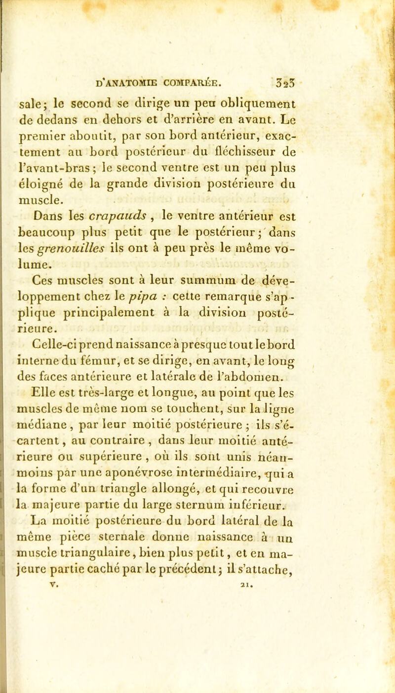 sale; le second se dirige un peu obliquement de dedans en dehors et d’arrière en avant. Le premier aboutit, par son bord antérieur, exac- tement au bord postérieur du fléchisseur de l’avant-bras ; le second ventre est un peu plus éloigné de la grande division postérieure du muscle. Dans les crapauds , le ventre antérieur est beaucoup plus petit que le postérieur dans \cs grenouilles ils ont à peu près le même vo- lume. > Ces muscles sont à leur summum de déve- loppement chez le pipa : cette remarque s’ap - plique principalement à la division posté- rieure. Celle-ci prend naissance à presque tout le bord interne du fémur, et se dirige, en avant, le long des faces antérieure et latérale de l’abdomen. Elle est très-large et longue, au point que les muscles de même nom se touchent, sur la ligne médiane , par leur moitié postérieure ; ils s’é- I cartent, au contraire , dans leur moitié anté- j rieure ou supérieure , où ils sont unis néan- ( moins par une aponévrose intermédiaire, qui a t la forme d’un triangle allongé, et qui recouvre [ la majeure partie du large sternum inférieur. La moitié postérieure du bord latéral de la I même pièce sternale donne naissance à un i muscle triangulaire, bien plus petit, et en ma- |( jeure partie caché par le précédent j il s’attache,