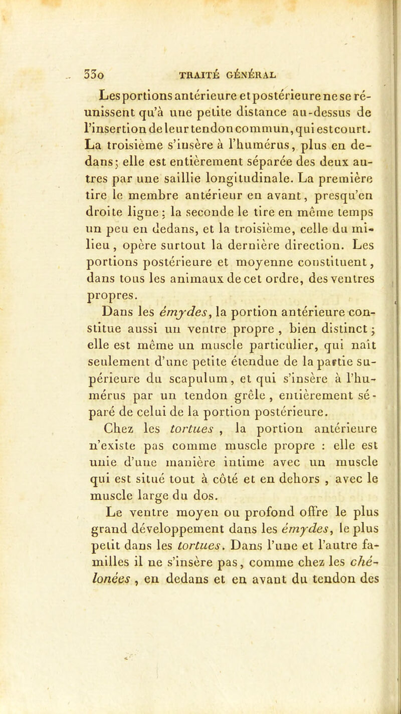 Les portions antérieure et postérieure ne se ré- unissent qu’à une petite distance au-dessus de l’insertion de leur tendon commun, qui estcourt. La troisième s’insère à l’humérus, plus en de- dans; elle est entièrement séparée des deux au- tres par une saillie longitudinale. La première tire le membre antérieur en avant, presqu’cn droite ligne : la seconde le tire en même temps un peu eu dedans, et la troisième, celle du mi- lieu , opère surtout la dernière direction. Les portions postérieure et moyenne constituent, dans tous les animaux de cet ordre, des ventres propres. Dans les émjdes, la portion antérieure con- stitue aussi un ventre propre , bien distinct ^ elle est même un muscle particulier, qui naît seulement d’une petite étendue de la partie su- périeure du scapulum, et qui s’insère à l’hu- mérus par un tendon grêle , entièrement sé - paré de celui de la portion postérieure. Chez les tortues , la portion antérieure n’existe pas comme muscle propre : elle est unie d’une manière intime avec un muscle qui est situé tout à côté et en dehors , avec le muscle large du dos. Le ventre moyen ou profond offre le plus grand développement dans les émydes^ le plus petit dans les tortues. Dans l’une et l’autre fa- milles il ne s’insère pas, comme chez les lonées , en dedans et en avant du tendon des