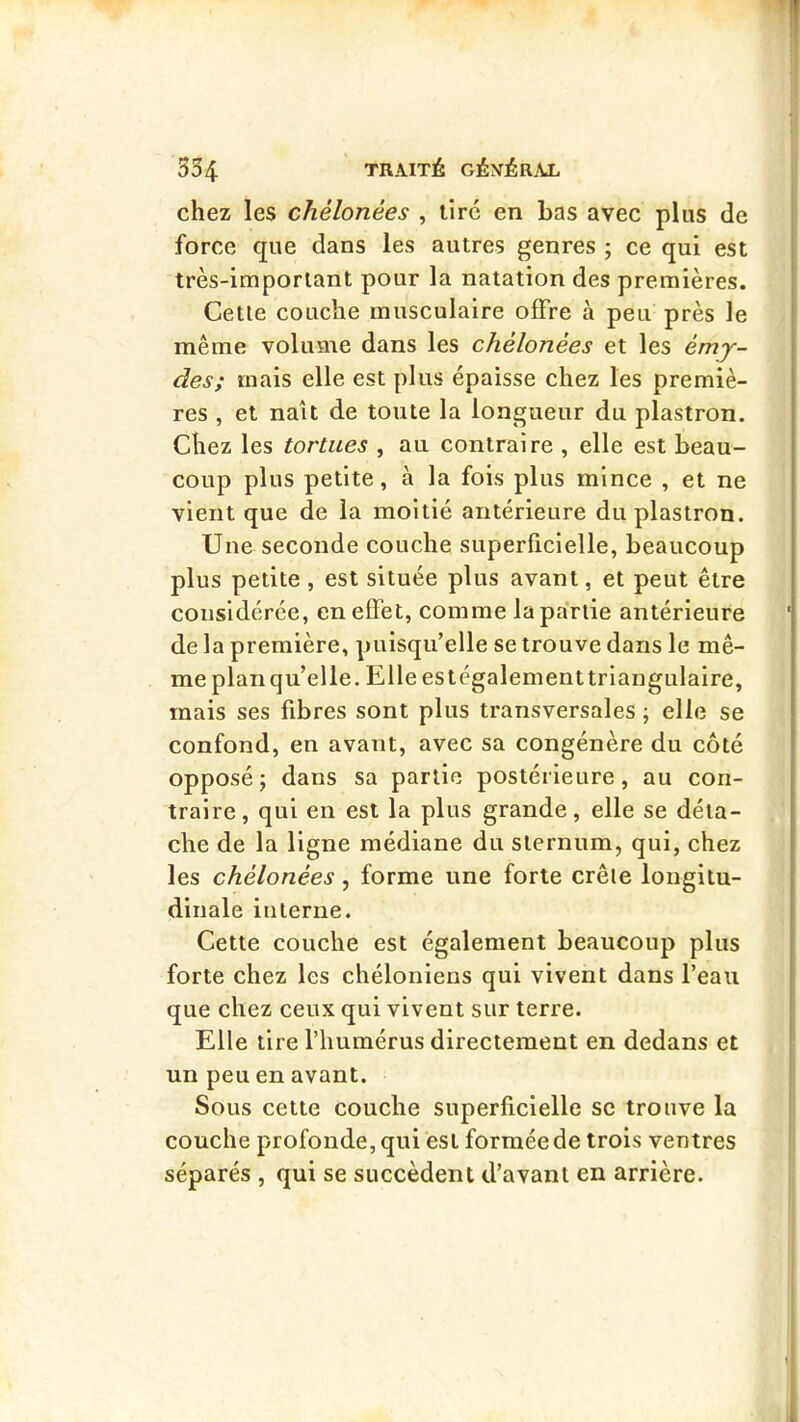 chez les chélonées , tire en bas avec plus de force que dans les autres genres ; ce qui est très-important pour la natation des premières. Cette couche musculaire offre à peu près le même volume dans les chélonées et les émy- des; mais elle est plus épaisse chez les premiè- res , et naît de toute la longueur du plastron. Chez les tortues , au contraire , elle est beau- coup plus petite, à la fois plus mince , et ne vient que de la moitié antérieure du plastron. Une seconde couche superficielle, beaucoup plus petite, est située plus avant, et peut être considérée, en effet, comme la partie antérieure de la première, puisqu’elle se trouve dans le mê- me plan qu’elle. Elle estégalementtriangulaire, mais ses fibres sont plus transversales ; elle se confond, en avant, avec sa congénère du côté opposé; dans sa partie postérieure, au con- traire, qui en est la plus grande, elle se déta- che de la ligne médiane du sternum, qui, chez les chélonées, forme une forte crête longitu- dinale interne. Cette couche est également beaucoup plus forte chez les chéloniens qui vivent dans l’eau que chez ceux qui vivent sur terre. Elle tire l’humérus directement en dedans et un peu en avant. Sous cette couche superficielle sc trouve la couche profonde, qui est forméede trois ventres séparés , qui se succèdent d’avant en arrière.