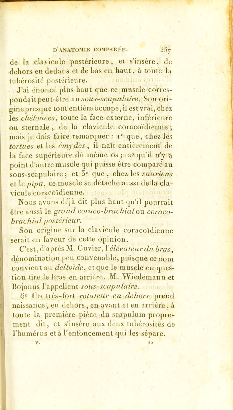 i I i 1 I l de la clavicule postérieure, et s’insère, de dehors en dedans et de bas en haut, à tome la tubérosité postérieure. 1 - J’ai énoucé plus haut que ce muscle corres- pondait peut-être au sous-scapulai're. Son ori- gine ])resque tout entière occupe, il est vrai^cliez les chélonées, toute la face externe, inférieure ou sternale, de la clavicule coracoïdienne ; mais je dois faire remarquer : 1° que, chez les tortues et les émjdes ^ il naît entièrement de la face supérieure du même os ; 12° qu’il a point d’autre muscle qui puisse êtrc comparé au sous-scapulaire ; et 3° que , chez les sauriens et le pipa, ce muscle se détache aussi de là cla- vicule coracoïdienne. INous avons déjà dit plus haut qu’il pourrait être aussi le grand coraco-brachialou coraco- brachial postérieur. Son origine sur la clavicule coracoïdienne serait en faveur de cette opinion. C’est, d’après M. Cuvier, \' élévateur du bras, dénomination peu convenable, puisque ce nom convient au deltoïde, et que le muscle en ques- tion lire le bras en arrière. M. Wiedemann et Bojanus l’appellent sous-scapulairs. 6® Un très-fort rotateur en dehors prend naissance, en dehors, en avant et en arrière , à toute la première pièce du scapulum propre- ment dit, et s’insère aux deux tubérosités de l’humérus et à l’enfoncement qui les sépare. V. 22