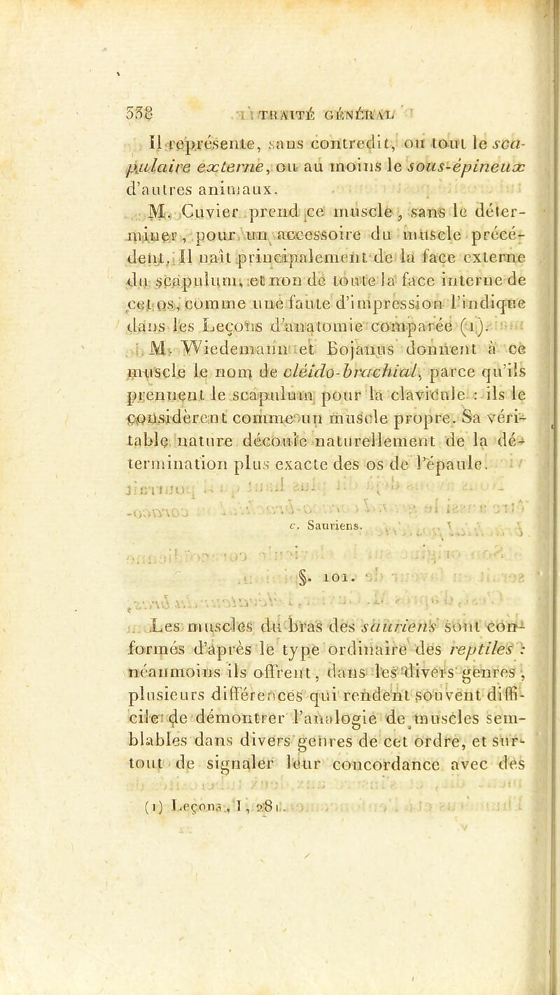 iLteprésenle, .sans contredit, on tout le^c«- pjLilaive externe, on au moins le sous-épineiix d’autres animaux. M, ,Cuvier.;prend.jCe: muscle, sans le déler- niiiiaer , .pour Airn accessoire du muscle précé- deuj^.ill naît priuoipalenient'deda face externe du spApulunu.eCnou de tonte la- face interne de ce,JL:Qs, comme une faute d’impression l’indiq-ue dajjs l'es LeçoïiS d’anatomie comparée (n,). '-- Ml Wiedeinannaet Bojanus donnent a ce mnscle le nom de cléido-hrachiul, parce qu’ils p.i’ennçiit le scapuium, pour la clavidnle : ils le PiOüsidèrcnt comme-un muscle propre. Sa véri- table nature découle naturellement de la dé-+ termiiiation plus exacte des os de l’épaule. jicTIiiO^, •' ’ ^ 1.- ■ -();.w\ûa - w ' V ■ . -’i i .' I' .:! * c. Sauriens. . . ' . .. \ i ^ , J . ; i ] ! • >'J ' I ‘ 'i ‘ ■ ‘ 101. 'A . .Les nu isoles du bras des sàurien's sont con- formés d’après le type ordinaire des reptile^ } neanmoins ils offrent, dans- les'-divers'genres plusieurs différences qui rendént souvent dlffi- ciiei ^e démontrer l’analogie de^tnuscles sem- blables dans divers geiires de cet ordre, et sur- tout «dp signaler leur concordance avec des ( i) liOçon.i., 1 , 9:81.. ,