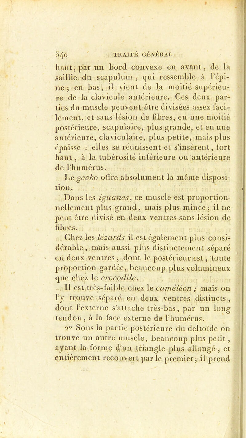 haut, par un bord convexe en avant, de la saillie du scapuluui , qui ressemble à l’épi- ne 5 en bas, il vient de la moitié supérieu- re de la clavicule antérieure. Ces deux par- ties du muscle peuvent être divisées assez faci- lement, et sans lésion de libres, en une moitié postérieure, scapulaire, plus grande, et en une antérieure, claviculaire, plus petite, mais plus épaisse : elles se réunissent et s’insèrent, fort haut, à la tubérosité inférieure ou antérieure de l’humérus. Le gecko offre absolument la même disposi- tion. ' Dans les iguanes, ce muscle est proportion- nellement plus grand, mais plus mincej il ne peut être divisé en deux ventres sans lésion de fibres. Chez les lézards il est également plus consi- dérable , mais aussi plus distinctement séparé en deux ventres , dont le postérieur est, toute proportion gardée, beaucoup plus volumineux que chez le crocodile. Il est,très-faible chez le caméléon ; mais on l’y trouve séparé en deux ventres distincts , dont l’externe s’attache très-bas, par un long tendon, à la face externe de l’humérus. 2° Sous la partie postérieure du deltoïde on trouve un autre muscle, beaucoup plus petit, ayant la forme (l’un triangle plus allongé , et entièrement recouvert par le premier; il prend