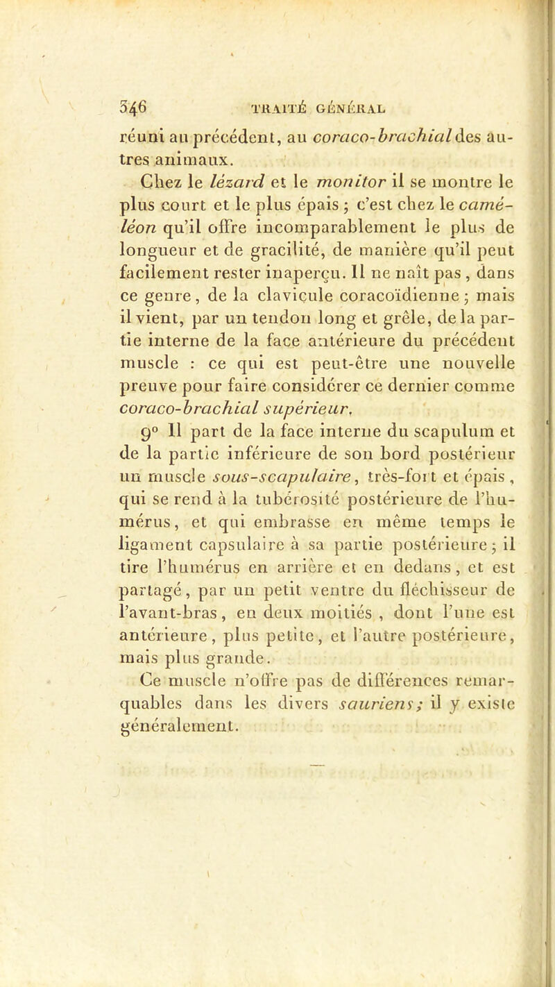 réuni au précédent, au coraco-brachial Aqs au- tres animaux. •’ Chez le lézard et le monitor il se montre le plus court et le plus épais ; c’est chez le camé- léon qu’il offre incomparablement le plus de longueur et de gracilité, de manière qu’il peut facilement rester inaperçu. 11 ne naît pas , dans ce genre, de la clavicule coracoïdienne 3 mais il vient, par un tendon long et grêle, delà par- tie interne de la face antérieure du précédent muscle : ce qui est peut-être une nouvelle preuve pour faire considérer ce dernier comme coraco-brachial supérieiir, 9° 11 part de la face interne du scapulum et de la partie inférieure de son bord postérieur un muscle sous-scapulaire, très-fort et épais , qui se rend à la tubérosité postérieure de l’hu- mérus, et qui embrasse en même temps le ligament capsulaire à sa partie postérieure ; il tire l’humérus en arrière et en dedans, et est partagé, par un petit ventre du fléchisseur de l’avant-bras, en deux moitiés , dont l’une est antérieure, plus petite, et l’autre postérieure, mais plus grande. Ce muscle n’otFre pas de différences remar- quables dans les divers sauriens ; il y existe généralement.