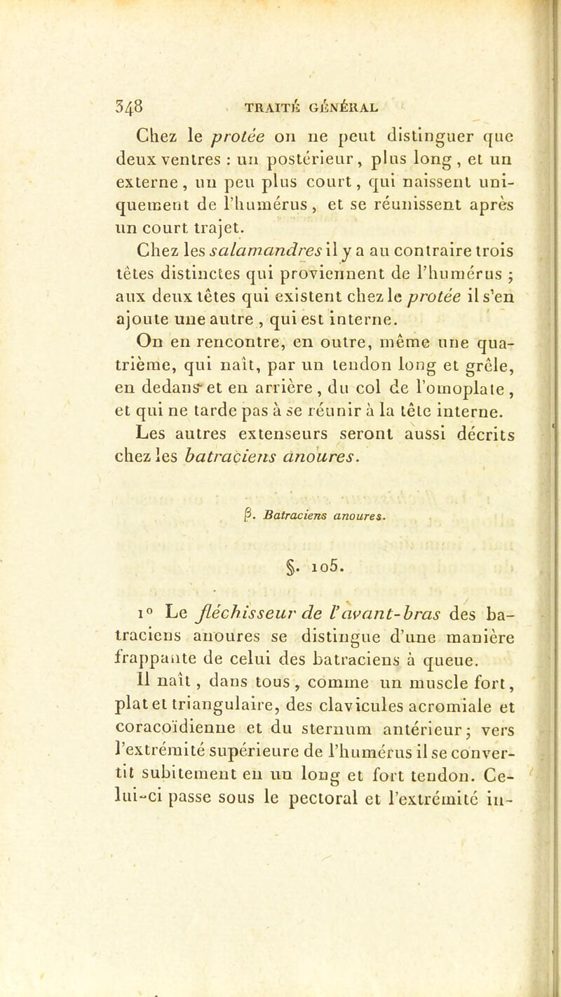 Chez le protée on 11e peut distinguer que deux ventres : un postérieur, plus long, et un externe, un peu plus court, qui naissent uni- quement de l’huaiérus, et se réunissent après un court trajet. Chez les salamandres 11 y a au contraire trois têtes distinctes qui proviennent de riumiérus ; aux deux têtes qui existent chez le protée il s’en ajoute une autre , qui est interne. On en rencontre, en outre, même une qua- trième, qui naît, par un tendon long et grêle, en dedans* et en arrière , du col de l’omoplate , et qui ne tarde pas à se réunir à la tête interne. Les autres extenseurs seront aussi décrits chez les batraciens anoures. |3. Batraciens anoures. §. io5. Le fléchisseur de ravant-bras des ba- traciens anoures se distingue d’une manière frappante de celui des batraciens à queue. 11 naît, dans tous , comme un muscle fort, plat et triangulaire, des clavicules acromiale et coracoidienne et du sternum antérieur j vers l’extrémité supérieure de l’humérus il se conver- tit subitement eu un long et fort tendon. Ce- lui-ci passe sous le pectoral et l’extrémité in-