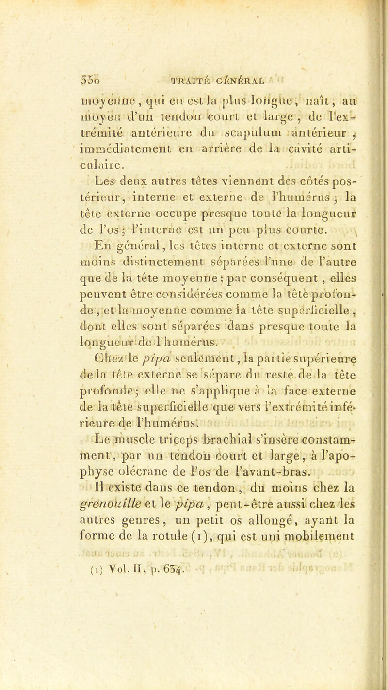 moyenne , qni en est Ja plus longue , naît, an moyen d’un tendon eonrt et large , de l’ex- trémité antérieure du scapulum antérieur ^ immédiatement en arrière de la cavité arti- culaire. Les deux autres têtes viennent des côtés pos- térieur, interne et externe de l’humérus j la tête externe occupe presque toute la longueur de l’os J l’interne est un peu plus courte. En général, les têtes interne et externe sont moins distinctement séparées l’une de l’autre que de la tête moyenne ; par conséquent , elles peuvent être considérées comme la tête profon- de , et la moyenne comme la tête stipèrlicielle , dont elles sont séparées dans presque toute la longueur de riiumérus, Ghez'le pipa seulement, la partie supérieure delà tête externe se sépare du reste de la tête profonde; elle ne s’applique à la face externe de la tête superficielle que vers l’extrémité infé- rieure de l’humérus’. Le muscle triceps brachial s’insère constam- ment, par un tendon court et large, à l’apo- physe olécrane de l’os de i’avant-bras. 11 existe dans ce tendon , du moins chez la grenouille et le pipa ^ peut-être aussi chez les autres genres, un petit os allongé, ayailt la forme de la rotule (i), qui est uni mobilenient (i) Vol. II, p. 654.