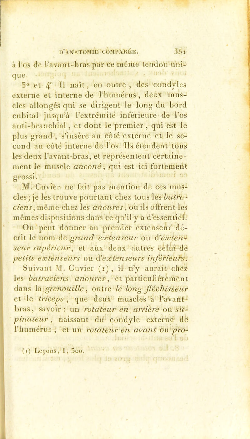ê D’.VNrATOMIE c'Ômp.Vrée. 55 1 à l’os de l’avanl-bras par ce même Icndô'ii uni- que. • . . J 5° el 4“ Il naît, en outre, des condyles externe et interne de riiiimérus, deux mus- cles allongés qui se dirigent le long du bord cubital jusqu’à rextrêmité inférieure de l’os anti-branchial , et dont le premier , qui est le plus grand , s’insère au côté externe et le se- cond au côté interne de l’os. Ils étendent tous les deux l’avant-bras, et représentent certaine- ment le muscle anconé, qui est ici fortement grossi. 1 f • M. Cuvier ne fait pas mention de ces mus- cles ; je les trouve pourtant chez tous les batra- ciens^ même chez les anoures, où ils offrent les mêmes dispositions dans ce qu’il y a d’essentiel;’ - On peut donner au premier extenseiif dé- crit le nom de grand eoctenseur ou d’cÆ'^e/zv seur supérieur, et aux deux autres cèlm de petits extenseurs ou ééextenseurs inférieurs. Suivant \î. Cuvier (i) , il n’y aurait chëz les batraciens anoures^, et particullèremént dans la grenouille^ outre le long fléchisseur et de triceps^ que deux muscles'à l’avahl;- bras, savoir : un rotateur en arrière ou su- pinateur , naissant du condyle externe dÙ l’humérus , et un rotateur en aidant ou pro-
