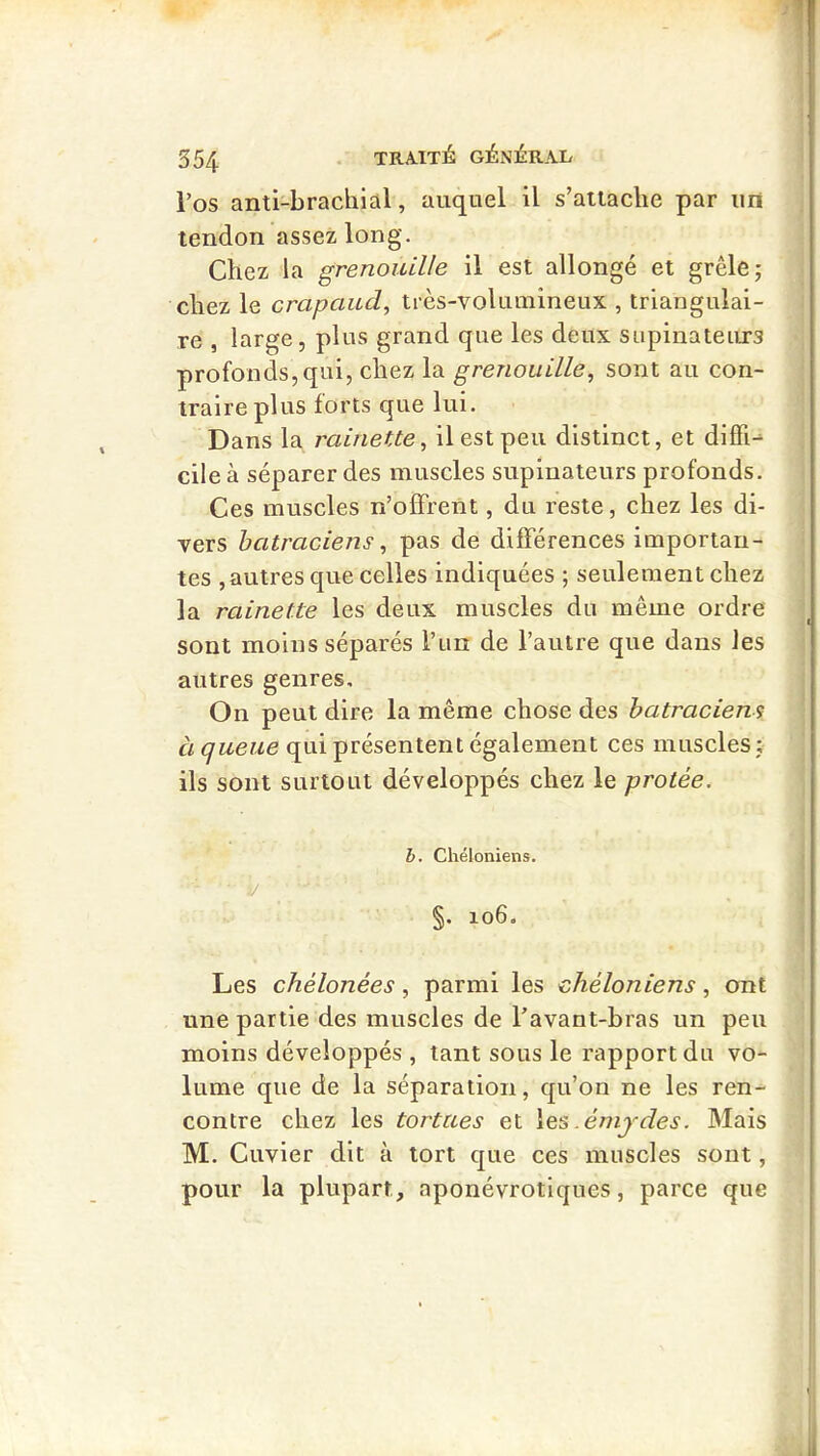 l’os anti-brachial, auquel il s’attache par iirt tendon assez long. Chez la grenouille il est allongé et grêle j chez le crapaud, très-voluniineux , triangulai- re , large, plus grand que les deux supinateiu-s profonds,qui, chez la grenouille, sont au con- traire plus forts que lui. Dans la rainette, il est peu distinct, et diffi- cile à séparer des muscles supinateurs profonds. Ces muscles n’offrent, du reste, chez les di- vers batraciens, pas de différences importan- tes ,autres que celles indiquées ; seulement chez la rainette les deux muscles du même ordre sont moins séparés Tun de l’autre que dans les autres genres. On peut dire la même chose des batraciens àqueue qui présentent également ces muscles ; ils sont surtout développés chez le protée. * h. Chéloniens. •'* ' i/ ■ i §. 106. Les chélonées, parmi les chéloniens, ont une partie des muscles de l’avant-bras un peu moins développés , tant sous le rapport du vo- lume que de la séparation, qu’on ne les ren- contre chez les tortues et \es, .émydes. Mais M. Cuvier dit à tort que ces muscles sont, pour la plupart, aponévrotiques, parce que