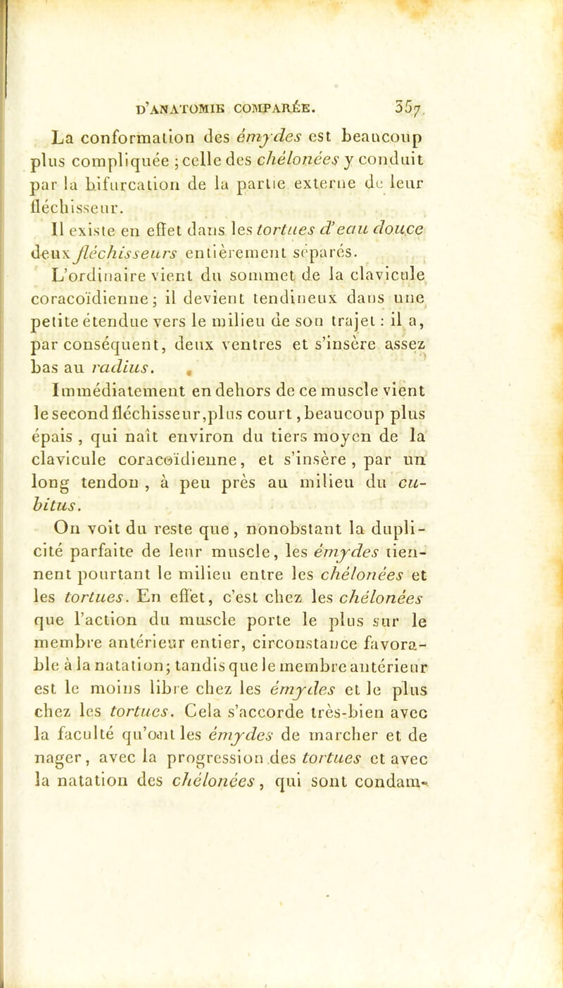 La conformation des émydes est beaucoup plus compliquée ; celle des chélonees y conduit par la bifurcation de la partie externe de leur fléchisseur. Il existe en eflet dans les tortues d’eau doitce deuxJléchisseurs entièrement séparés. L’ordinaire vient du sommet de la clavicule coracoïdienne ; il devient tendineux dans une petite étendue vers le milieu de son trajet : il a, par conséquent, deux ventres et s’insère assez bas au radius. , Immédiatement en dehors de ce muscle vient le second fléchisseur,plus court, beaucoup plus épais , qui naît environ du tiers moyen de la clavicule coraeoïdieiine, et s’insère , par un long tendon , à peu près au milieu du cu- bitus. On voit du reste que, nonobstant la dupli- cité parfaite de leur muscle, les émydes tien- nent pourtant le milieu entre les chélonees et les tortues. En eflet, c’est chez les chélonées que l’action du muscle porte le plus sur le membre antérieur entier, circonstance favora- ble à la natation; tandis que le membre antérieur est le moins libre chez les émydes et le plus chez les tortues. Cela s’accorde très-bien avec la faculté qu’oait les émydes de marcher et de nager, avec la progression des tortues et avec la natation des chélonées ^ qui sont condaiu».