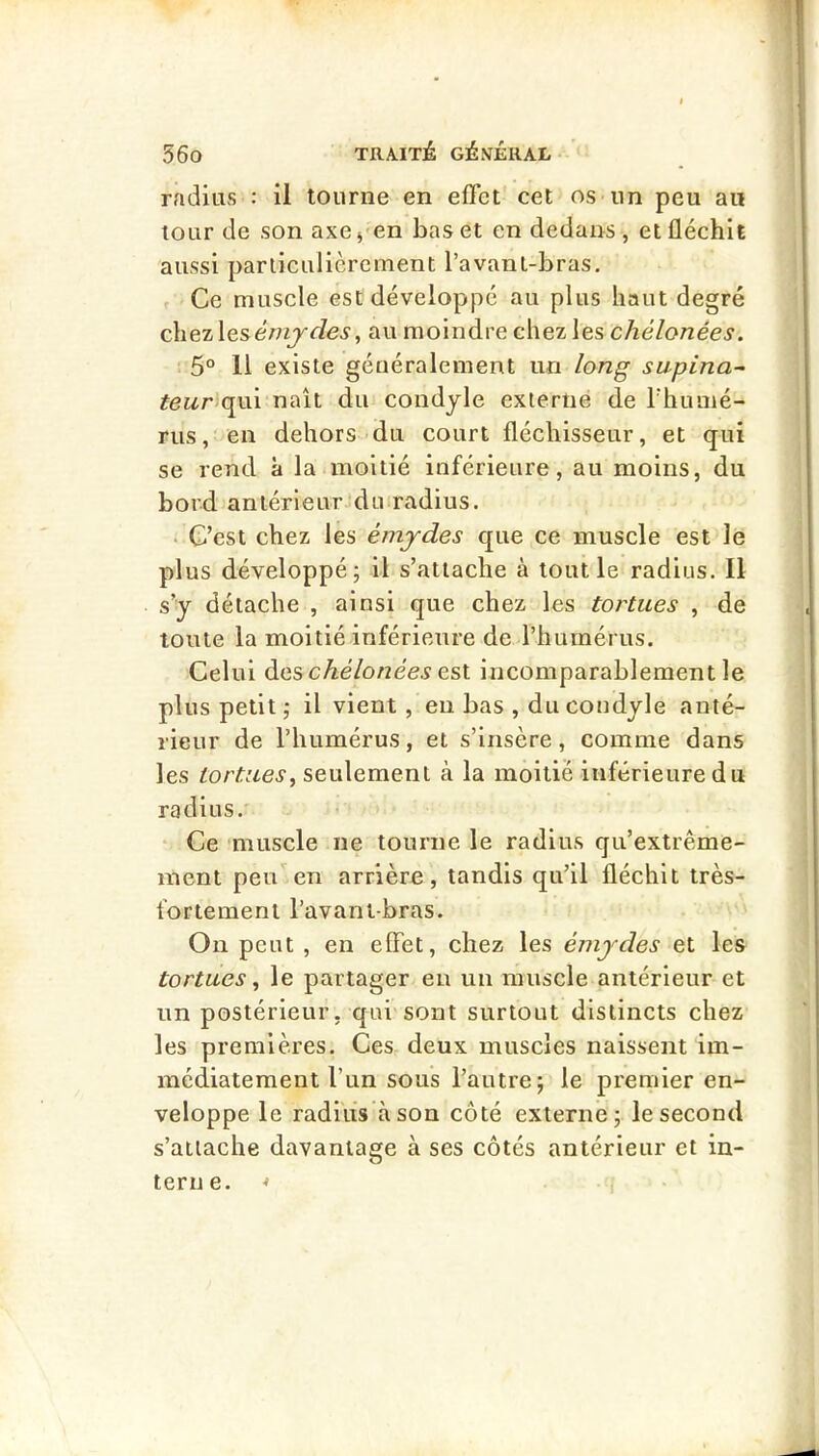 radius : il tourne en effet cet os un peu au tour de son axe^-en bas et en dedans, et fléchit aussi parliculièrement l’avanl-bras. Ce muscle est développé au plus haut degré chez\e&émjdes, au moindre chez les chélonées. 5° 11 existe généralement un long supina- teur)(^\x\ naît du condyle externe de niumé- rus, en dehors-du court fléchisseur, et qui se rend à la moitié inférieure, au moins, du bord antérieur du radius. • C’est chez les émydes que ce muscle est le plus développé; il s’attache à tout le radius. Il s’y détache , ainsi que chez les tortues , de toute la moitié inférieure de l’humérus. Celui descAe7o/2ee.s est incomparablement le plus petit ; il vient, en bas , ducondyle anté- rieur de rimmérus, et s’insère, comme dans les tortues^ seulement à la moitié inférieure du radius. Ce muscle ne tourne le radius qu’extrême- ment peiCen arrière, tandis qu’il fléchit très- fortement l’avani-bras. On peut , en effet, chez les émydes et les tortues ^ le partager en un muscle antérieur et un postérieur, qui sont surtout distincts chez les premières. Ces deux muscles naissent im- médiatement l’un sous l’autre; le premier en- veloppe le radlu’s'àson côté externe; le second s’attache davantage à ses côtés antérieur et in- terne. * i