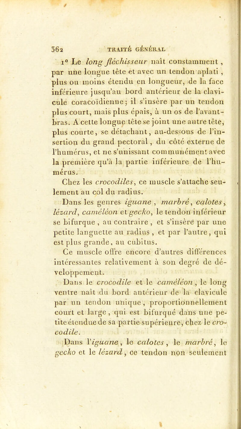 1° Le long fléchisseur naît constamment , par une longue tête et avec un tendon aplati , plus ou moins étendu en longueur, de la face inférieure jusqu’au bord antérieur de la clavi- cule coracoïdienue 5 il s’insère par un tendon plus court, mais plus épais, à un os de l’avant- bras. A cette longue tête se joint une autre tête, plus courte, se détachant, au-dessous de l’in- sertion du grand pectoral, du côté externe de l’humérus, et ne s’unissant communément avec la première qu’à la partie inférieure de l’hu- mérus. Chez les crocodiles^ ce muscle s’attache seu- lement au col du radius. Dans les genres iguane , marbré ^ calotes y lézard, caméléon et gecko, le tendon inférieur se bifurque , au contraire , et s’insère par une petite languette au radius , et par l’autre, qui est plus grande, au cubitus. Ce muscle offre encore d’autres différences intéressantes relativement à son degré de dé- veloppement. Dans le crocodile et le caméléon , le long ventre naît du bord antérieur de la clavicule par un tendon unique, proportionnellement court et large, qui est bifurqué dans une pe- tite étendue de sa partie supérieure, chez le cro- codile. Dans Viguane, le calotes, le marbré, le gecko et le lézard, ce tendon non seulement