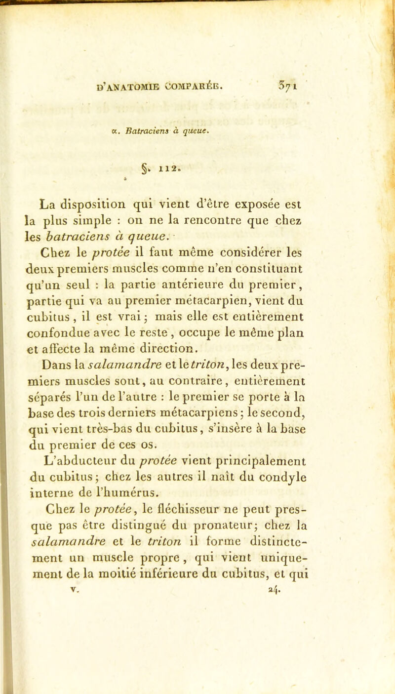 «, Batraciens à queue. 112. * La disposition qui vient d’être exposée est la plus simple : 011 ne la rencontre que chez les batraciens à queue. Chez le protée il faut même considérer les deux premiers muscles comme n’en constituant qu’un seul : la partie antérieure du premier, partie qui va au premier métacarpien, vient du cubitus , il est vrai j mais elle est entièrement confondue avec le reste , occupe le même plan et aft'ecte la même direction. Dans \di salamandre etle^^^^o«, les deux pre- miers muscles sont, au contraire, entièrement séparés l’un de l’autre : le premier se porte à la base des trois derniers métacarpiens ; le second, qui vient très-bas du cubitus, s’insère à la base du premier de ces os. L’abducteur du protée vient principalement du cubitus; chez les autres il naît du condjle interne de l’humérus. Chez le protée, le fléchisseur ne peut pres- que pas être distingué du pronateur; chez la salamandre et le triton il forme distincte- ment un muscle propre , qui vient unique- ment de la moitié inférieure du cubitus, et qui