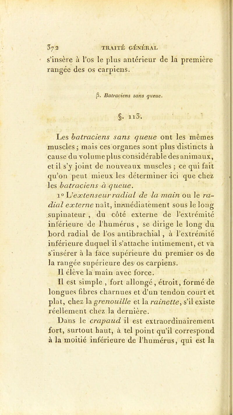 ' s’insère à l’os le plus antérieur de la première rangée des os carpiens. p. Batraciens sans queue. §. Il3. Les batraciens sans queue ont les mêmes muscles ; mais ces organes sont plus xiistlncts à cause du volume plus considérable d^s animaux, et il s’y joint de nouveaux muscles ; ce qui fait qu’on peut mieux les déterminer ici que chez les batraciens à queue. 1° Ueætenseur radial de la main ou le ra- dial eocterne naît, inmiédiatément sous le long supinateur , du côté externe de l’extrémité inlérieure de rhumérus , se dirige le long du bord radial de l’os autibrachial, à l’extrémité inférieure duquel il s’attache intimement, et va s'insérer à la face supérieure du premier os de la rangée supérieure des'os carpiens. Il élève la main avec force. Il est simple , fort allongé , étroit, formé de longues fibres charnues et d’un tendon court et plat, chez la grenouille et la rainette., s’il existe réellement chez la dernière. Dans le crapaud il est extraordinairement fort, surtout haut, à tel point qu’il correspond à la moitié inférieure de l’humérus, qui est la