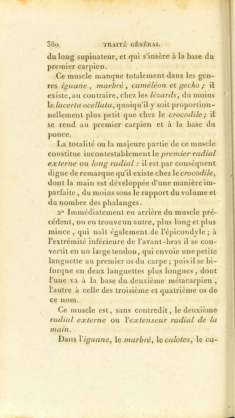 t 38o TRAITÉ GÉNÉRAL du long supinaleur, et qui s’insère à la base du premier carpien. Ce muscle manque totalement dans les gen- res iguane , marbré , caméléon et gecko / il existe, au contraire, chez les lézards, du moins le lacerta ocellata, quoiqu’il y soit proportion- nellement plus petit que chez le crocodile ; il se rend au premier carpien et à la base du pouce. La totalité ou la majeure partie de ce muscle constitue incontestablement le premier radial externe ou long radial : il est par conséquent digne de remarque qu’il existe chez \e crocodile, dont la main est développée d’une manière im- parfaite , du moins sous le rapport du volume et du nombre des phalanges- 2° Immédiatement en arrière du muscle pré- cédent, on en trouve un autre, plus long et plus mince , qui naît également de l’épicondjle ; à l’extrémité inférieure de l’avant-bras il se con- vertit en un large tendon, qui envoie une petite languette au premier os du carpe ; puis il se bi- furque en deux languettes plus longues , dont l’une va à la base du deuxième métacarpien , l’autre à celle des troisième et quatrième os de ce nom. Ce muscle est, sans contredit, le deuxième radial externe ou Vextenseur radial de la main. Dans \iguane, le marbré, \ecalotcs, le ca~