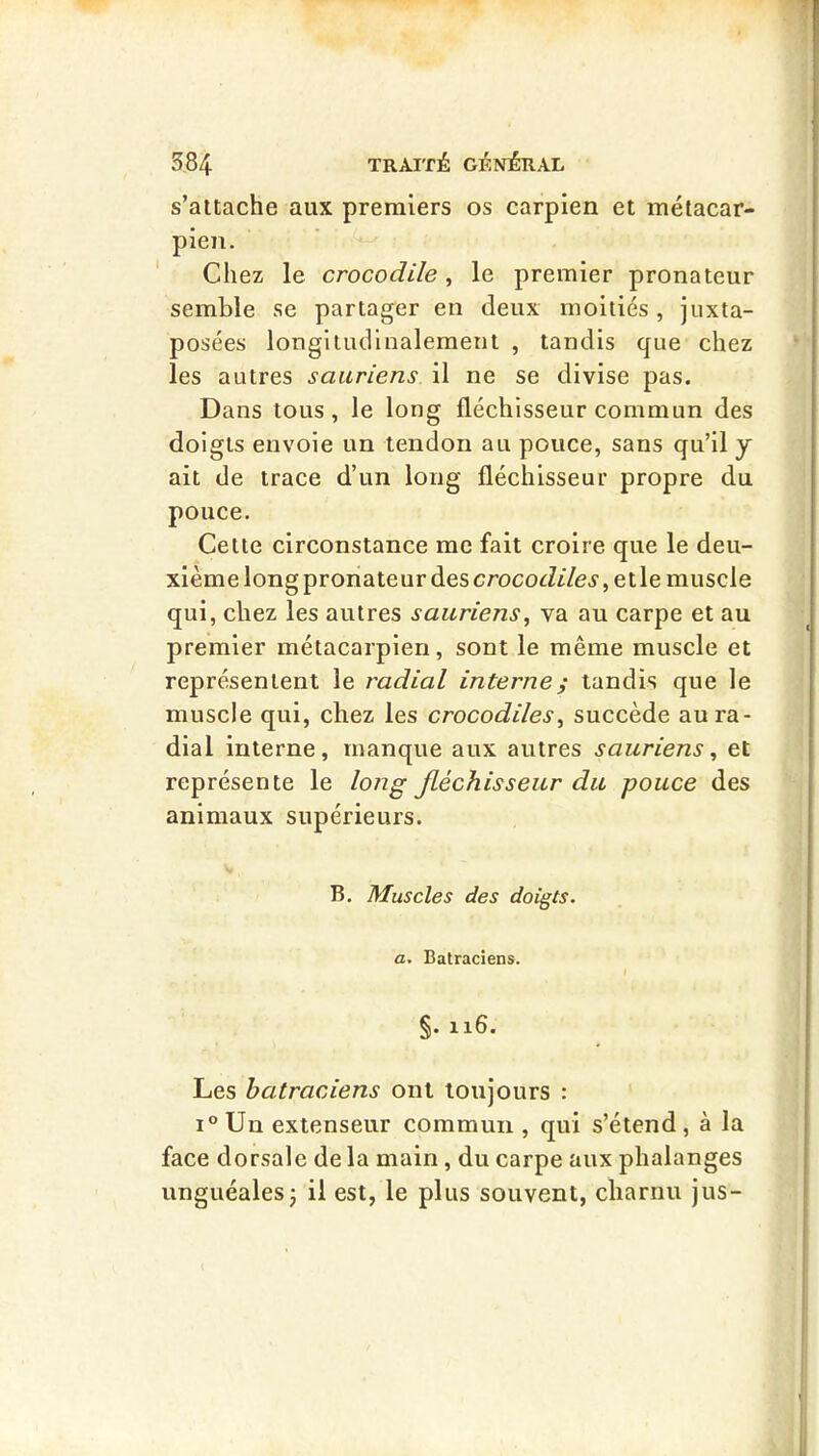 s’attache aux premiers os carpien et métacar- pien. Chez le crocodile, le premier pronateur semble se partager en deux moitiés, juxta- posées longitudinalement , tandis que chez les autres sauriens il ne se divise pas. Dans tous, le long fléchisseur commun des doigts envoie un tendon au pouce, sans qu’il y ait de trace d’un long fléchisseur propre du pouce. Cette circonstance me fait croire que le deu- xième long pronateur des crocodiles, e t le muscle qui, chez les autres sauriens, va au carpe et au premier métacarpien, sont le même muscle et représentent le radial internei tandis que le muscle qui, chez les crocodiles, succède au ra- dial interne, manque aux autres sauriens, et représente le long fléchisseur du pouce des animaux supérieurs. B. Muscles des doigts, a. Batraciens. §. 116. Les batraciens ont toujours : 1° Un extenseur commun , qui s’étend , à la face dorsale de la main, du carpe aux phalanges unguéales3 il est, le plus souvent, charnu jus-