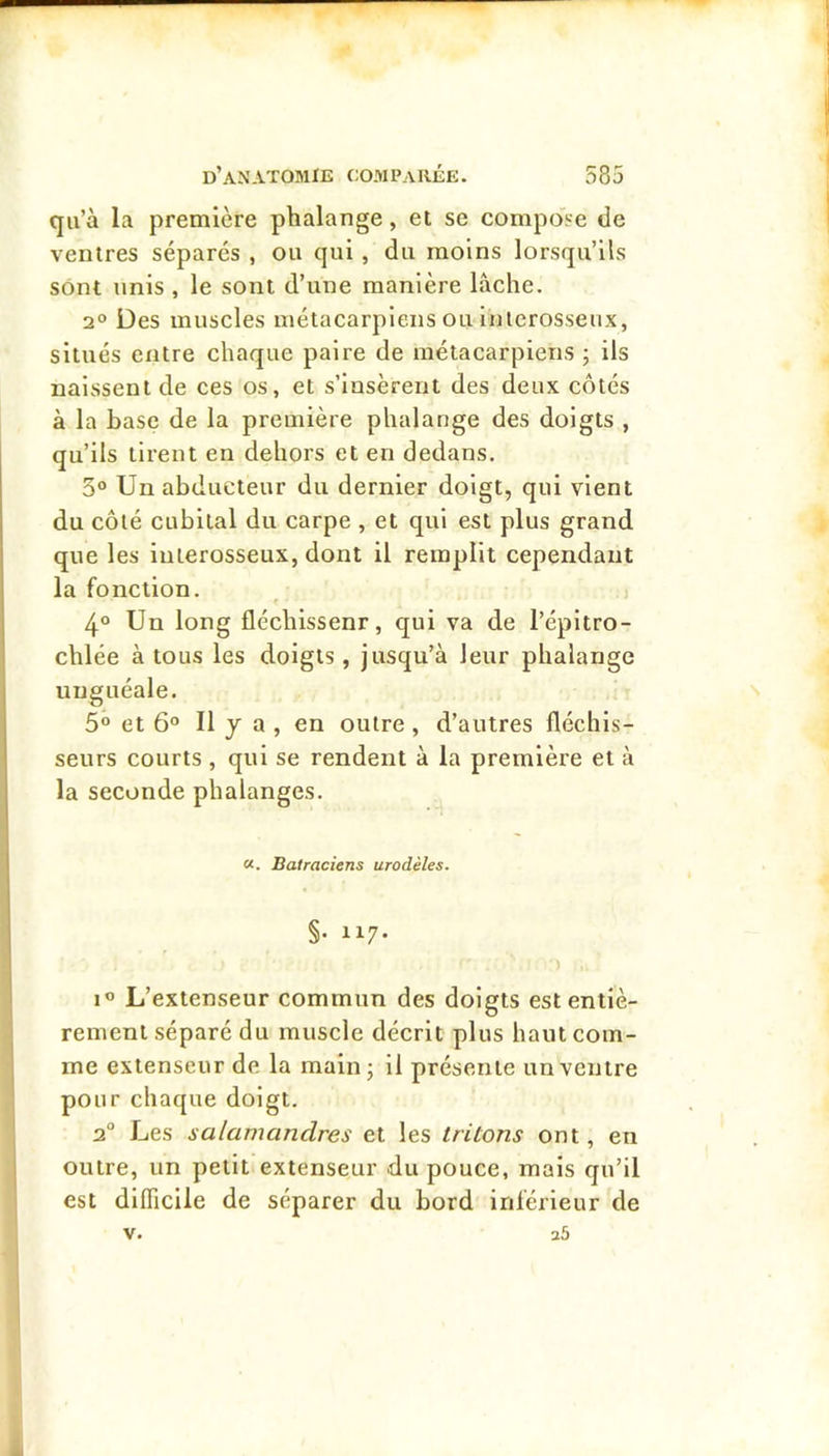 qu’à la première phalange, et se compo'se de ventres sépares , ou qui, du moins lorsqu’ils sont unis , le sont d’une manière lâche. 2° Des muscles métacarpiens ou inlcrosseux, situés entre chaque paire de métacarpiens ; ils naissent de ces os, et s’insèrent des deux côtés à la hase de la première phalange des doigts , qu’ils tirent en dehors et en dedans. 3° Un abducteur du dernier doigt, qui vient du côté cubital du carpe , et qui est plus grand que les interosseux, dont il remplit cependant la fonction. i 4° Un long fléchissenr, qui va de l’épitro- chlée à tous les doigts, jusqu’à leur phalange unguéale. n 5° et 6° Il y a , en outre, d’autres fléchis- seurs courts , qui se rendent à la première et à la seconde phalanges. «. Batraciens urodèles. §• “7- ) I® L’extenseur commun des doigts est entiè- rement séparé du muscle décrit plus haut com- me extenseur de la main j il présente un ventre pour chaque doigt, 2° Les salamandres et les tritons ont, en outre, un petit extenseur du pouce, mais qu’il est difficile de séparer du bord inférieur de V. a5