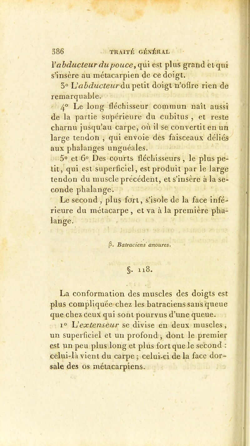 V abducteur du pouce, (\\x\ est plus grand et qui s’insère au métacarpien de ce doigt. 3° U abducteur doigt n’oEre rien de remarquable. 4° Le long fléchisseur commun naît aussi de la partie supérieure du cubitus , et reste cbarnu jusqu’au carpe, où il se convertit en un large tendon , qui envoie des faisceaux déliés aux phalanges unguéales. 5® et 6° Des courts fléchisseurs , le plus pe- tit,'qui est superficiel, est produit par le large tendon du muscle précédent, et s’insère à la se- conde phalange. Le second , plus fort, s’isole de la face infé- rieure du métacarpe , et va à la première pha- lange. P. Batraciens anoures. §. ii8. La conformation des muscles des doigts est plus compliquée chez les batraciens sans queue que chez ceux qui sont pourvus d’une queue. 1° U extenseur se divise en deux muscles, un superficiel et un profond , dont le premier est un peu plus long et plus fort que le second : celui-là vient du carpe ; celui-ci de la face dor- sale des os métacarpiens.