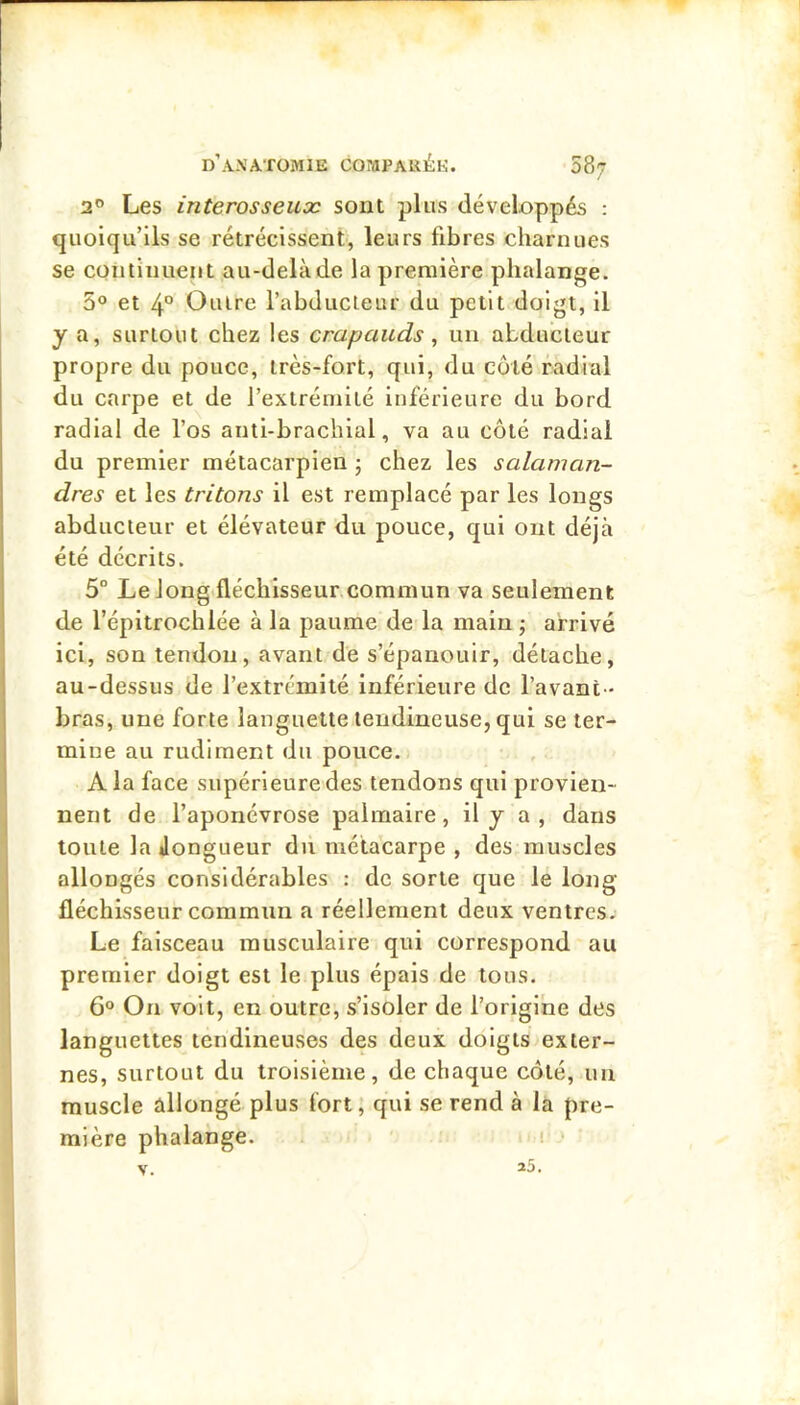 2® Les interosseux sont plus développés : quoiqu’ils se rétrécissent, leurs fibres charnues se continuent au-delà de la première phalange. 5® et 4° Outre l’abducteur du petit doigt, il y a, surtout chez les crapauds, un abducteur propre du pouce, très-fort, qui, du côté radial du carpe et de l’extrémité inférieure du bord radial de l’os anti-brachial, va au côté radiai du premier métacarpien ; chez les salaman- dres et les tritons il est remplacé par les longs abducteur et élévateur du pouce, qui ont déjà été décrits. 5° Le long fléchisseur commun va seulement de l’épitrochlée à la paume de la main ; arrivé ici, son tendon, avant de s’épanouir, détache, au-dessus de l’extrémité inférieure de l’avant - bras, une forte languette tendineuse, qui se ter- mine au rudiment du pouce. A la face supérieure des tendons qui provien- nent de l’aponévrose palmaire, il y a , dans toute la JongLieur du métacarpe , des muscles allongés considérables : de sorte que le long fléchisseur commun a réellement deux ventres. Le faisceau musculaire qui correspond au premier doigt est le plus épais de tous. 6° On voit, en outre, s’isoler de l’origine des languettes tendineuses des deux doigts exter- nes, surtout du troisième, de chaque côté, un muscle allongé plus fort, qui se rend à la pre- mière phalange. i V. 35.
