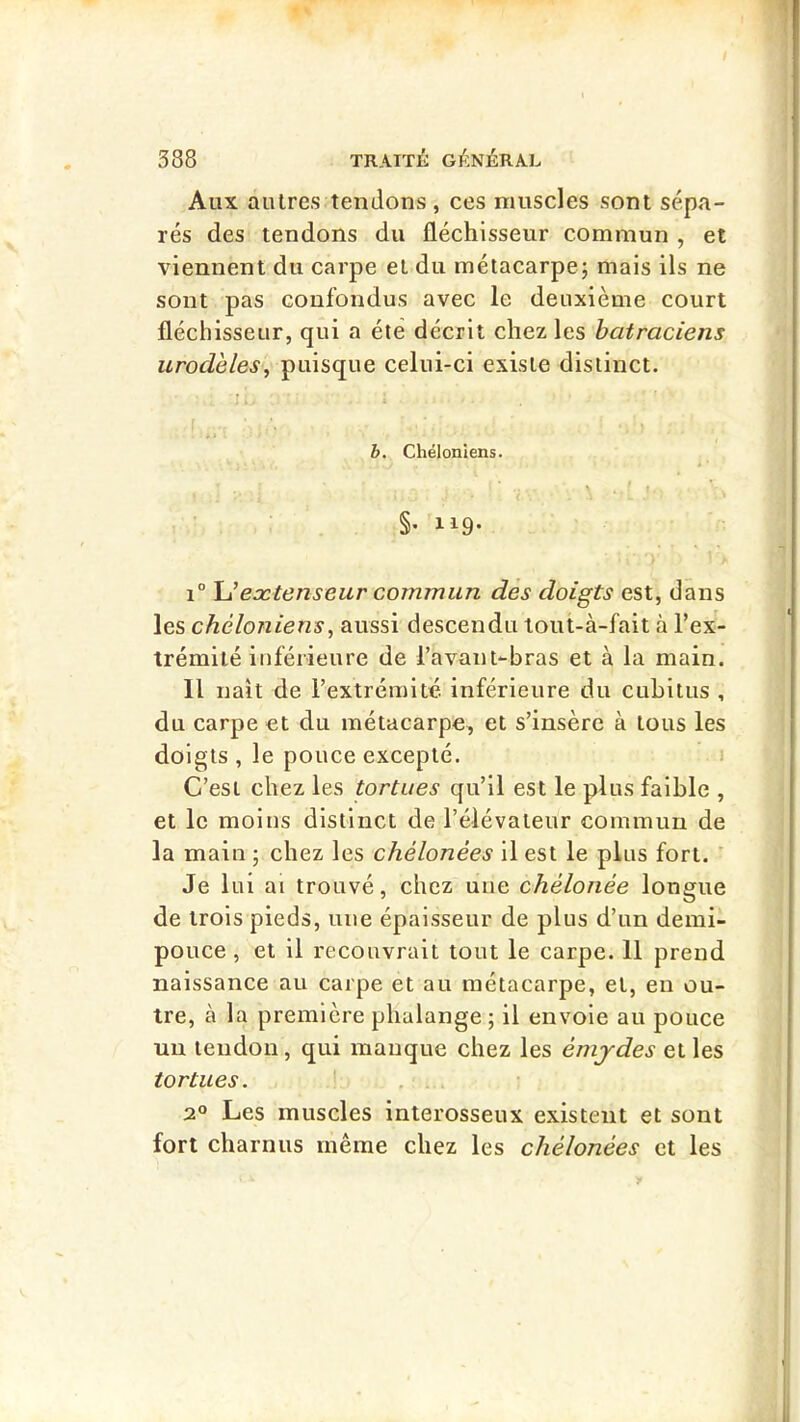Aux autres tendons , ces muscles sont sépa- rés des tendons du fléchisseur commun , et viennent du carpe et du métacarpe5 mais ils ne sont pas confondus avec le deuxième court fléchisseur, qui a été décrit chez les batraciens urodèles^ puisque celui-ci existe distinct. I > > b. Chéloniens. §• 119- 1° \Jextenseur commun dés doigts est, dans les chéloniens^ aussi descendu toui-à-fait à l’ex- trémité inférieure de l’avant-bras et à la main. Il naît de l’extrémité inférieure du cubitus , du carpe et du métacarpe, et s’insère à tous les doigts , le pouce excepté. > C’est chez les tortues qu’il est le plus faible , et le moins distinct de l’élévateur commun de la main ; chez les chélonées il est le plus fort. ' Je lui ai trouvé, chez une chélonée longue de trois pieds, une épaisseur de plus d’un demi- pouce , et il recouvrait tout le carpe. 11 prend naissance au carpe et au métacarpe, et, eu ou- tre, à la première phalange ; il envoie au pouce un tendon, qui manque chez les émjdes et les tortues. 2° Les muscles interosseux existent et sont fort charnus même chez les chélonées et les y