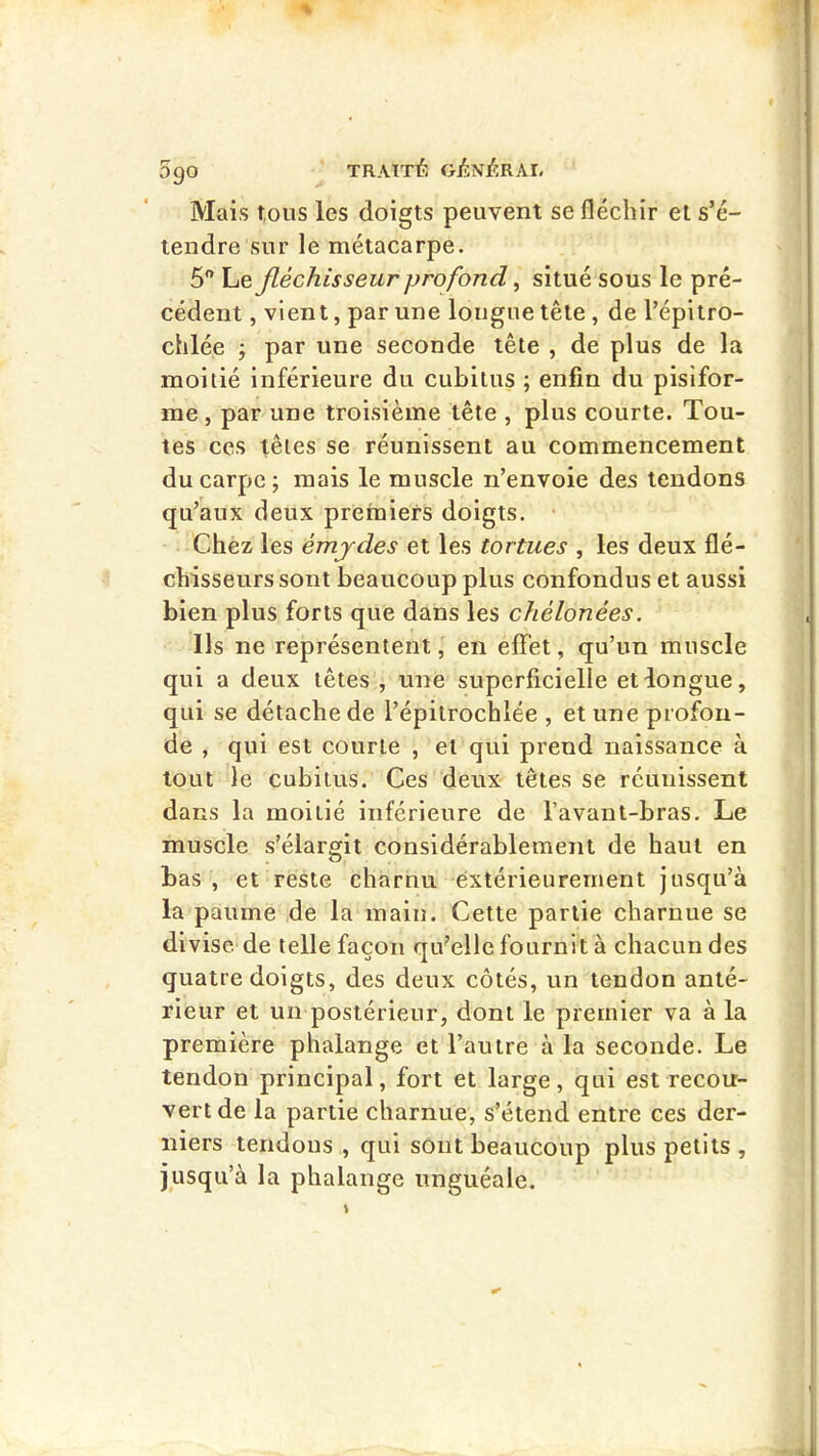 Mais tous les doigts peuvent se fléchir et s’é- tendre sur le métacarpe. 5 Le fléchisseur profond ^ situé sous le pré- cédent , vient, par une longue tête , de l’épitro- chlée j par une seconde tête , de plus de la moitié inférieure du cubitus ; enfin du pisifor- me , par une troisième tête , plus courte. Tou- tes ces têtes se réunissent au commencement du carpe; mais le muscle n’envoie des tendons qu’aux deux premiers doigts. • Chez les émydes et les tortues , les deux flé- chisseurs sont beaucoup plus confondus et aussi bien plus forts que dans les chélonées. Ils ne représentent, en effet, qu’un muscle qui a deux têtes , une superficielle et longue, qui se détache de l’épitrochlée , et une profon- de , qui est courte , et qui prend naissance à tout le cubitus. Ces deux têtes se réunissent dans la moitié inférieure de l’avant-bras. Le muscle s’élargit considérablement de haut en bas , et reste charnu extérieurement jusqu’à la paume de la main. Cette partie charnue se divise, de telle façon qu’elle fournit à chacun des quatre doigts, des deux côtés, un tendon anté- rieur et un postérieur, dont le premier va à la première phalange et l’autre à la seconde. Le tendon principal, fort et large, qui est recoir- vertde la partie charnue, s’étend entre ces der- niers tendons , qui sont beaucoup plus petits , jusqu’à la phalange unguéale.