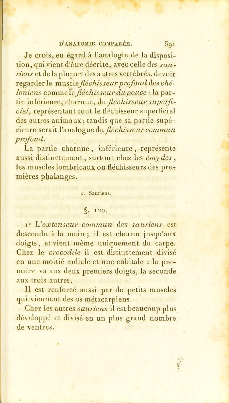 Je crois, eu égard à l’analogie de la disposi- tion, qui vient d’être décrite, avec celle des saïc-^ riens et de la plupart des autres vertébrés, devoir regarder le musclefléchisseur profond des ché- loniens commele fléchisseur du pouce : la par- tie inférieure, charnue, A\\ fléchisseur superfi- ciely représentant tout le,fléchisseur superficiel des autres animaux; tandis que sa partie supé- rieure serait l’analogue du fléchisseur commun profond. La partie charnue, inférieure , représente aussi distinctement, surtout chez les émjdes, les muscles lombricaux ou fléchisseurs des pre- mières phalanges. c. Sauriens. §. 120. 1° extenseur commun des sauriens est descendu à la main ; il est charnu jusqu’aux doigts, et vient même uniquement du carpe. Chez le crocodile il est distiqctement divisé en une moitié radiale et une cubitale : la pre- mière va aux deux premiers doigts, la seconde aux trois autres. 11 est renforcé aussi par de petits muscles qui viennent des os métacarpiens. Chez les autres sauriens il est beaucoup plus développé et divisé en un plus grand nombre de ventres. /