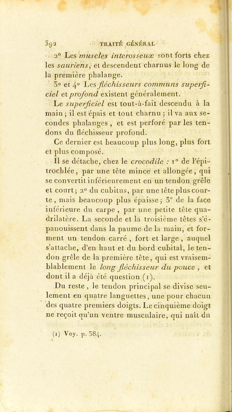 2° Les muscles interosseux sont forts chez les sauriens, et descendent charnus le long de la première phalange. 5° et 4° Les fléchisseurs communs superfi- ciel et profond existent généralement. Le superficiel est tout-à*fait descendu à la main ; il est épais et tout charnu j il va aux se- condes phalanges , et est perforé par les ten- dons du fléchisseur profond. Ce dernier est beaucoup plus long, plus fort et plus composé. 11 se détache, chez le crocodile : i” de l’épi- trochlée, par une tête mince et allongée, qui se convertit inférieurement en un tendon, grêle et court J 2° du cubitus, par une tête plus cour- te , mais beaucoup plus épaisse j 3° de la face inférieure du carpe, par une petite tête qua- drilatère. La seconde et la troisième têtes s’é- panouissent dans la paume de la main, et for- ment un tendon carré , fort et large , auquel s’attache, d’en haut et du bord cubital, le ten- don grêle de la première tête, qui est vraisem- blablement le long fléchisseur du pouce , et dont il a déjà été question (i). Du reste , le tendon principal se divise seu- lement en quatre languettes, une pour chacun des quatre premiers doigts. Le cinquième doigt ne reçoit qu’un ventre musculaire, qui naît du (i) Voy. p. 584.