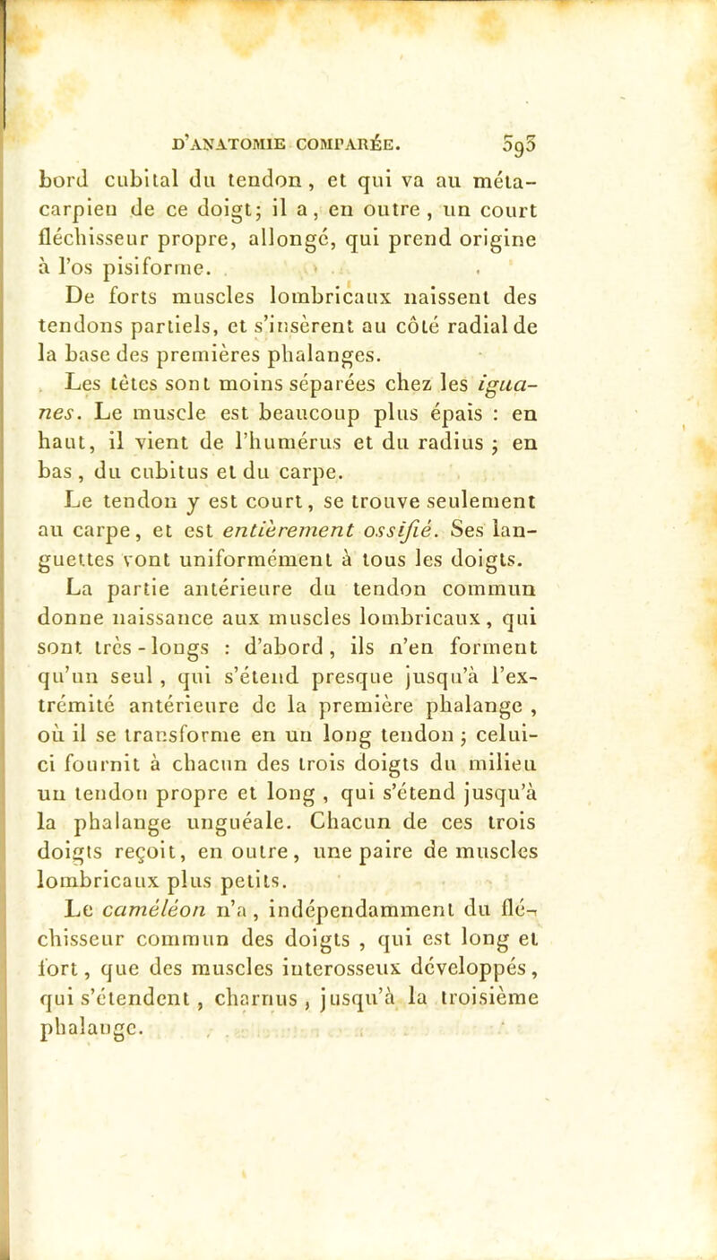 bord cubital du tendon, et qui va au méta- carpien de ce doigt; il a, en outre, un court fléchisseur propre, allongé, qui prend origine à l’os pisiforme. » De forts muscles lombrlcaux naissent des tendons partiels, et s’ir.sèrent au côté radial de la base des premières phalanges. . Les tètes sont moins séparées chez les igua- nes. Le muscle est beaucoup plus épais : en haut, il vient de riiumérus et du radius ; en bas , du cubitus et du carpe. Le tendon y est court, se trouve seulement au carpe, et est entièrement ossifié. Ses lan- guettes vont uniformément à tous les doigts. La partie antérieure du tendon commun donne naissance aux muscles lombricaux, qui sont très-longs : d’abord, ils n’en forment qu’un seul , qui s’étend presque jusqu’à l’ex- trémité antérieure de la première phalange , où il se transforme en un long tendon ; celui- ci fournit à chacun des trois doigts du milieu un tendon propre et long , qui s’étend jusqu’à la phalange unguéale. Chacun de ces trois doigts reçoit, en outre, une paire démuselés lombrlcaux plus petits. Le caméléon n’a, indépendamment du flé-i chisseur commun des doigts , qui est long et fort, que des muscles iuterosseux développés, qui s’étendent , charnus, jusqu’à la troisième phalange. , .