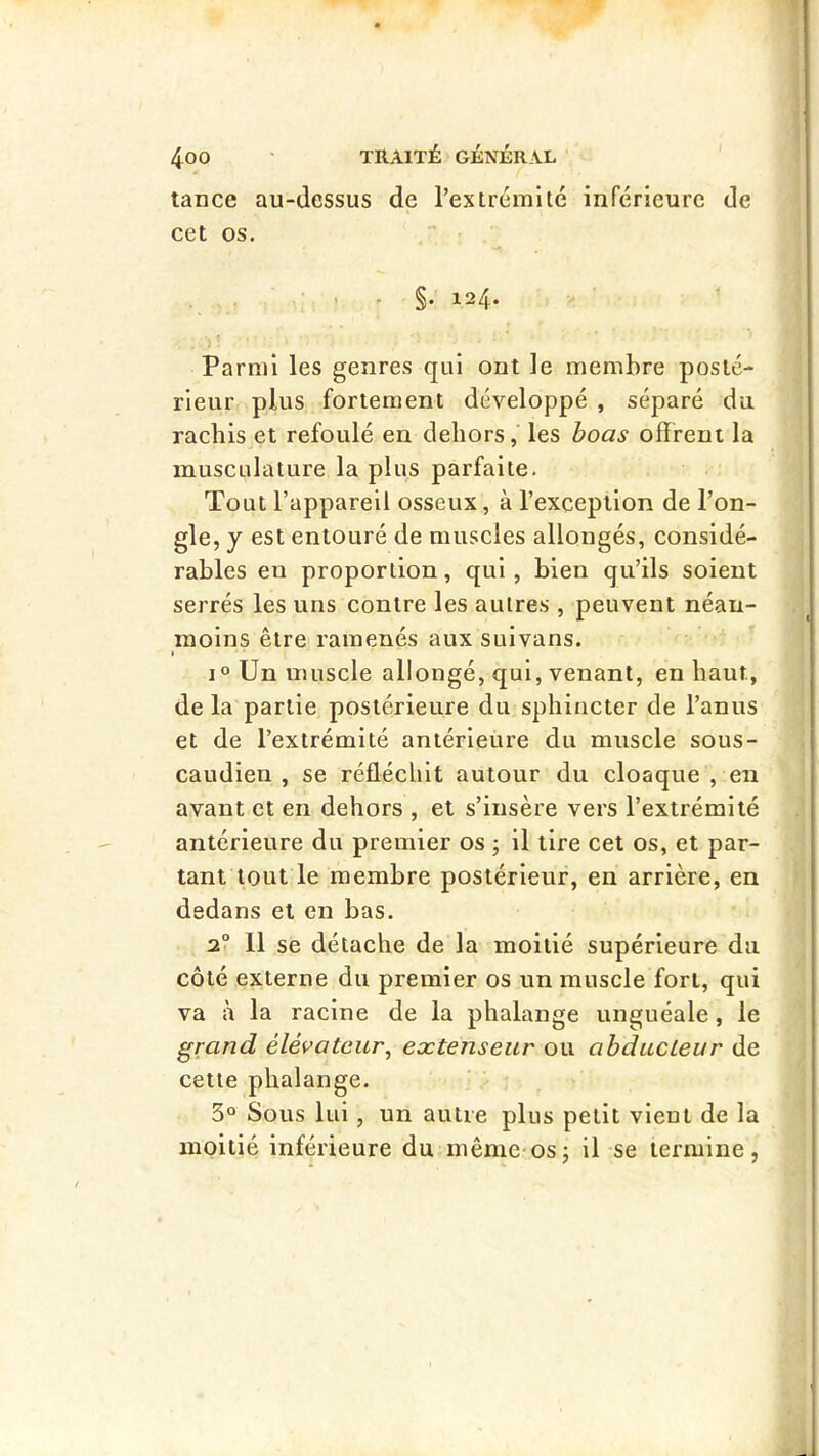 tance au-dessus de l’extrémité inférieure de cet os. , . §. 124* ’ ï ‘ Parmi les genres qui ont le membre posté- rieur plus fortement développé , séparé du rachis et refoulé en dehors,' les boas offrent la musculature la plus parfaite. Tout l’appareil osseux, à l’exception de l’on- gle, J est entouré de muscles allongés, considé- rables en proportion, qui, bien qu’ils soient serrés les uns contre les autres , peuvent néan- moins être ramenés aux sulvans. 1 1° Un muscle allongé, qui, venant, en haut, de la partie postérieure du sphincter de l’anus et de l’extrémité antérieure du muscle sous- caudien , se réfléchit autour du cloaque , en avant et en dehors , et s’insère vers l’extrémité antérieure du premier os ; il tire cet os, et par- tant tout le membre postérieur, en arrière, en dedans et en bas. 2? Il se détache de la moitié supérieure du côté externe du premier os un muscle fort, qui va à la racine de la phalange unguéale, le grand élévateur^ extenseur ou abducteur de cette phalange. 3° Sous lui, un autre plus petit vient de la moitié inférieure du même-osj il se termine,