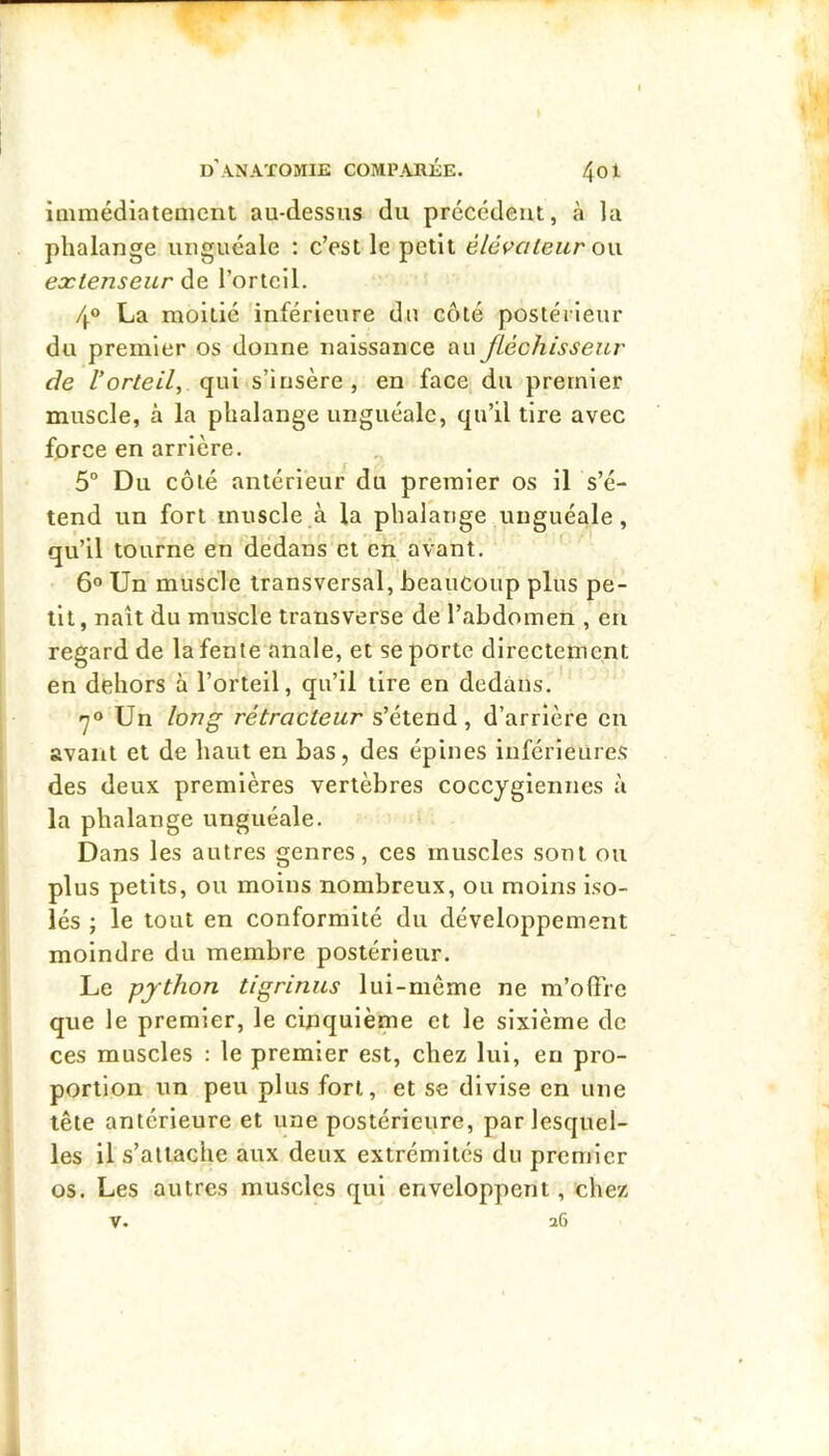 iniraédiateaicnt au-dessus du précédent, à la phalange unguéale : c’est le petit élévateur gw. eoclenseur de l’orteil. 4® La moitié inférieure du côté postérieur du premier os donne naissance au fléchisseur de /’or/e/Z, qui.s’insère, en face, du premier muscle, à la phalange unguéale, qu’il tire avec force en arrière. 5° Du côté antérieur du premier os il s’é- tend un fort muscle.à la phalange unguéale, qu’il tourne en dedans et en avant. ' 6® Un muscle transversal, beaucoup plus pe- tit, naît du muscle transverse de l’abdomen , eu regard de la fente anale, et se porte directement en dehors à l’orteil, qu’il tire en dedans. .7® Un long rétracteur s’étend, d’arrière en avant et de haut en bas, des épines inférieures des deux premières vertèbres coccygiennes à la phalange unguéale. Dans les autres genres, ces muscles sont ou plus petits, ou moins nombreux, ou moins iso- lés ; le tout en conformité du développement moindre du membre postérieur. Le py thon tigrinus lui-même ne m’oOre que le premier, le cinquième et le sixième de ces muscles : le premier est, chez lui, en pro- portion un peu plus fort, et se divise en une tête antérieure et une postérieure, par lesquel- les il s’attache aux deux extrémités du premier os. Les autres muscles qui enveloppent, chez V. 26