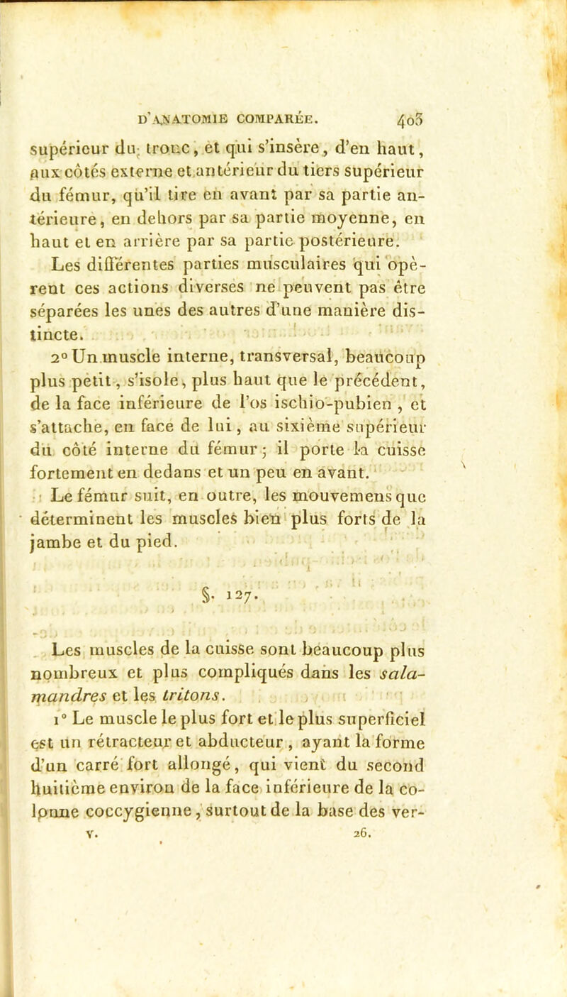 d’.\jvatomie comparée. 4o5 supérieur du- irouc, et qril s’insère^ d’en haut, 0UX côtés externe et.antérieiir du tiers supérieur du fémur, qu’il tire en avant par sa partie an- térieure, en dehors par sa partie moyenne, eu haut et en arrière par sa partie postérieure. Les dilTéfentes parties musculaires qui opè- rent ces actions diverses nëipeuvent pas être séparées les unes des autres d’une manière dis- tincte. ' ■ 2° Un muscle interne, transversal, beaucoup plus petite, s’isole, plus haut que lé précédent, de la face inférieure de l’os ischio-pubien et s’attache, eu face de lui, au sixième supérieur du côté interne du fémur; il porte la cuisse fortement en dedans et un peu en avant. ‘ • I Le fémur suit, en outre, les mbuvemensque déterminent les muscles bleniplus forts de ,1a jambe et du pied. , Les, muscles de la cuisse sont beaucoup plus nombreux et plus compliqués dans les sala- mandres et les tritons. i 1® Le muscle le plus fort etileplus superficiel est un rétracteur et abducteur , ayant la forme d’un carré fort allongé, qui vient du second huitième environ de la face»inférieure de la co- Ipnne coccygienne, surtout de la base des ver- 26. Y.