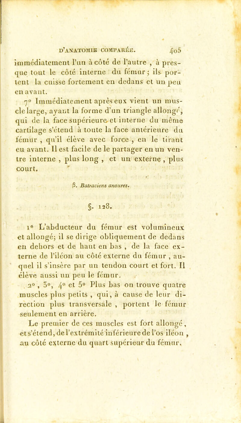 immédiatement l’un à côté de l’autre , à pres- que tout le côté interne du fémur • ils por- tent la cuisse fortement en dedans et un peu en avant, 7° Immédiatement après eux vient un mus- cle large, ayant la forme d’un triangle allongé, qui de la face supérieure-et Interne du meme cartilage s’étend à toute la face antérieure du fémur , qu’il élève avec force , en le tirant eu avant. 11 est facile de le partager en un ven- tre interne , plus long , et un externe , plus court. |3. Batraciens anoures. r r §. 128. 1® L’abducteur du fémur est volumineux et allongé; il se dirige obliquement de dedans en dehors et de haut en bas , de la face ex- terne de l’iléon au côté externe du fémur , au- quel il s’insère par un tendon court et fort. Il élève aussi un peu le fémur, 2® , 5®, 4® 5® Plus bas on trouve quatre muscles plus petits , qui, à cause de leur di- rection plus transversale , portent le fémur seulement en arrière. Le premier de ces muscles est fort allongé, ets’étend, de l’extrémité inférieure de l’os iléon , au côté externe du quart supérieur du fémur.