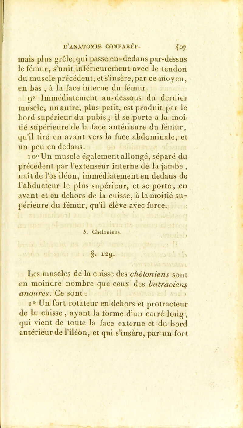 maïs plus grêle,qui passe en-<iedaus par-dessus le fémur, s’unit inférieuicmeul avec le tendon du muscle précédent, et s’insère, par ce moyen, eu bas , à la face interne du fémur. 9® Immédiatement au-dessous du dernier muscle, un autre, plus petit, est produit par le bord supérieur du pubis ; il se porte à la moi- tié supérieure de la face antérieure du fémur, qu’il tire en avant vers la face abdominale, et un peu en dedans. 10° Un muscle également allongé, séparé du précédent par l’extenseur interne de la jambe , naît de l’os iléon, immédiatement en dedans de l’abducteur le plus supérieur, et se porte, en avant et eu dehors de la cuisse, à la moitié su- périeure du fémur, qu’il élève avec force. b, Ghéloniens. 1 §• 129. , ’ Les muscles de la cuisse des chéloniens sont en moindre nombre que ceux des batraciens anoures. Ce sont : . 1 I® Un fort rotateur en dehors et protracteur de la cuisse , ayant la forme d’un carré long, qui vient de toute la face externe et du bord antérieur de l’iléon, et qui s’insère, par un fort