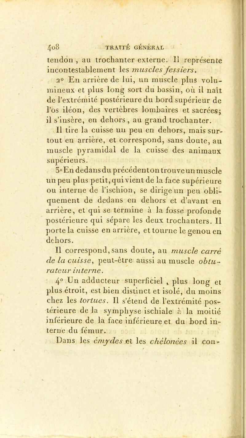 tendon , au trochanter externe. 11 représente incontestablement les muscles'fessiers. 2° En arrière de lui, un muscle plus volu- mineux et plus long sort du bassin, où il naît de l’extrémité postérieure du bord supérieur de l’os iléon, des vertèbres lombaires et sacréesj il s’insère, en dehors , au grand trochanter. 11 tire la cuisse un peu en dehors, mais sur- tout en arrière, et correspond, sans doute, au muscle pyramidal de la cuisse des animaux supérieurs. 3“En dedans du précédenton trouve un muscle un peu plus petit, qui vient de la face supérieure ou interne de l’ischion, se dirige un peu obli- quement de dedans en dehors et d’avant en arrière, et qui se termine à la fosse profonde postérieure qui sépare les deux trochanters. 11 porte la cuisse en arrière, et tourne le genou en dehors. Il correspond, sans doute, au muscle carré de la cuisse, peut-être aussi au muscle obtu- rateur interne. 4° Un adducteur superficiel ^ plus long et plus étroit, est bien distinct et isolé, du moins chez les tortues. Il s’étend de l’extrémité pos- térieure de la symphyse ischiale à la moitié inférieure de la face inférieure et du bord in- terne du fémur. Dans les émydes les chélonées il cou-