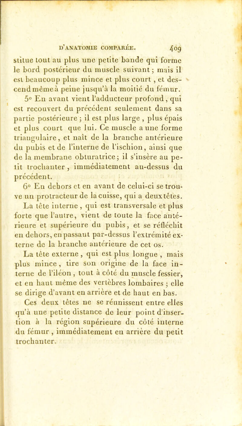 sillue lout au plus une petite bande qui forme le bord postérieur du muscle suivant ; mais il est beaucoup plus mince et plus court , et des- cend meme à peine jusqu’à la moitié du fémur. 5° Eu avant vient l’adducteur profond, qui est recouvert du précédent seulement dans sa partie postérieure 5 il est plus large , plus épais et plus court que lui. Ce muscle aune forme triangulaire, et naît de la branche antérieure du pubis et de l’interne de l’ischion, ainsi que de la membrane obturatrice; il s’insère au pe- tit trochanter , immédiatement au-dessus du précédent. 6° En dehors et en avant de celui-ci se trou- ve un protracteur de la cuisse, qui a deuxtetes. La tête interne , qui est transversale et plus forte que l’autre, vient de toute la face anté- rieure et supérieure du pubis, et se réfléchit en dehors, en passant par-dessus l’extrémité ex- terne de la branche antérieure de cet os. La tête externe , qui est plus longue , mais plus mince , tire son origine de la face in- terne de l’iléon , tout à côté du muscle fessier, et en haut même des vertèbres lombaires ; elle se dirige d’avant en arrière et de haut en bas. Ces deux têtes ne se réunissent entre elles qu’à une petite distance de leur point d’inser- tion à la région supérieure du côté interne du fémur , immédiatement eu arrière du petit trochanter.