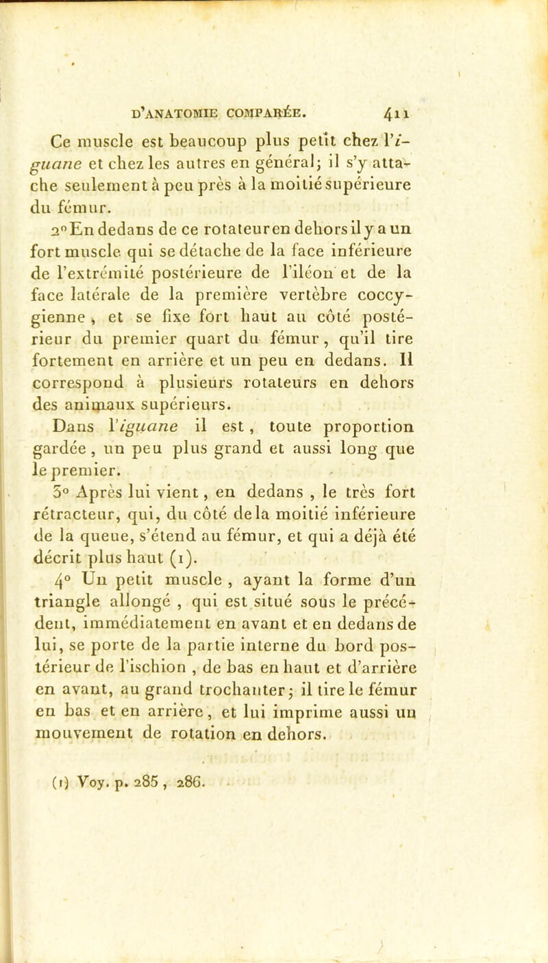 Ce muscle est beaucoup plus petit chez 1’/- guane et chez les autres en général; il s’y atta- che seulement à peu près à la moitié supérieure du fémur. 2”Endedans de ce rotateurendehorsüyaun fort muscle, qui se détache de la face inférieure de l’extrémité postérieure de l’iléon et de la face latérale de la première vertèbre coccy- gienne ^ et se fixe fort haut au côté posté- rieur du premier quart du fémur, qu’il tire fortement en arrière et un peu en dedans. 11 correspond à plusieurs rotateurs en dehors des anlqiaux supérieurs. Dans Viguane il est, toute proportion gardée, un peu plus grand et aussi long que le premier. 5® Après lui vient, en dedans , le très fort rétracteur, qui, du côté delà moitié inférieure de la queue, s’étend au fémur, et qui a déjà été décrit plus haut (i). 4° Un petit muscle , ayant la forme d’un triangle allongé , qui est situé sous le précé^ dent, immédiatement en avant et en dedans de lui, se porte de la partie Interne du bord pos- térieur de l’ischion , de bas en haut et d’arrière en avant, au grand trochanter; il lire le fémur eu bas et en arrière, et lui imprime aussi un mouvement de rotation en dehors. ; (i) Voy. p. 285 , 286.