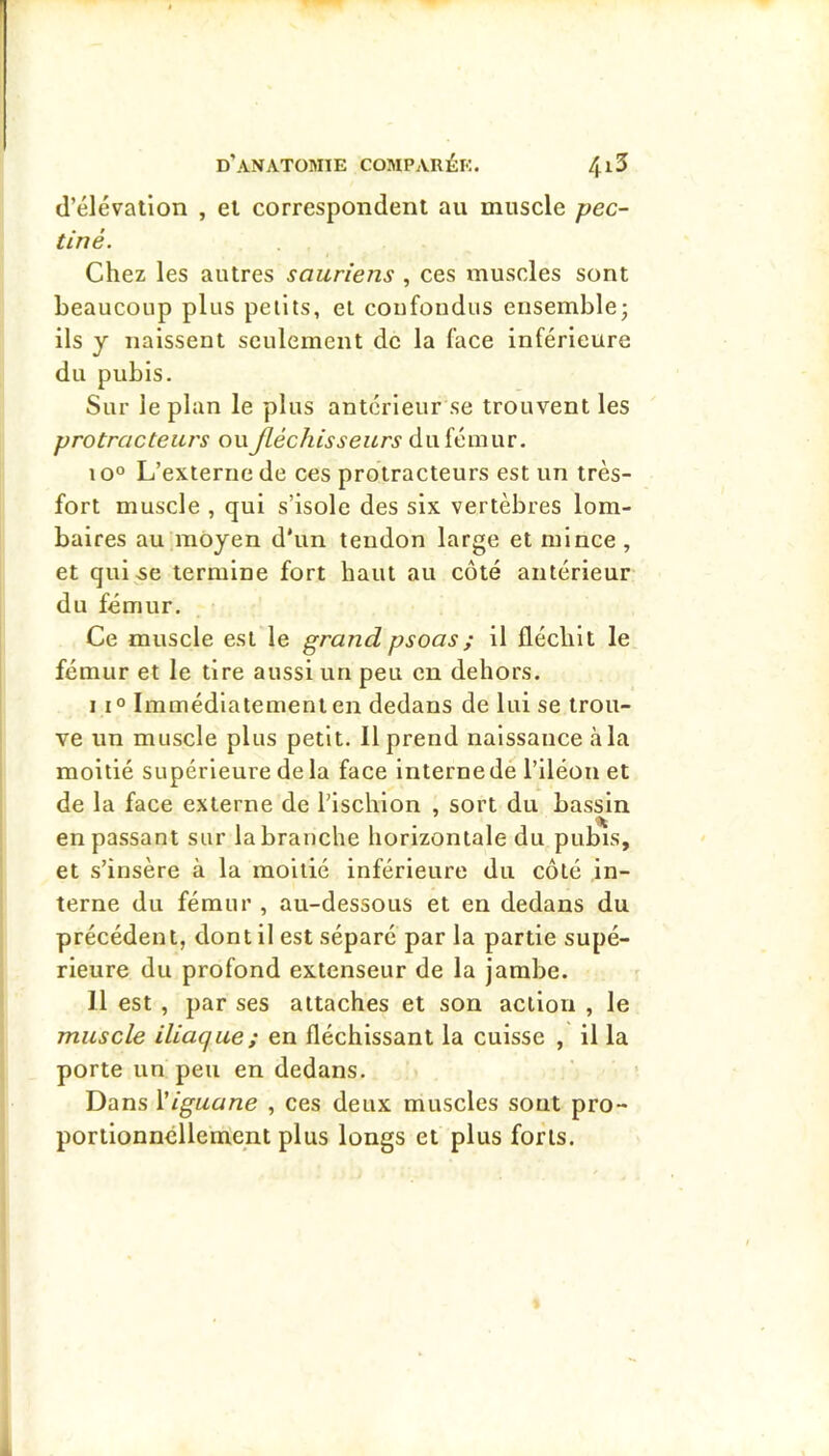d’élévation , et correspondent au muscle pec- tiné. Chez les autres sauriens , ces muscles sont beaucoup plus petits, et coufoudus ensemble; ils y naissent seulement de la face inférieure du pubis. Sur le plan le plus antérieur se trouvent les protracteurs ou fléchisseurs Aixiémov. io° L’externe de ces protracteurs est un très- fort muscle , qui s’isole des six vertèbres lom- baires au,moyen d'un tendon large et mince , et qui 5e termine fort haut au côté antérieur du fémur. Ce muscle est le grand psoas ; il fléchit le fémur et le tire aussi un peu en dehors. 11° Immédiatement en dedans de lui se trou- ve un muscle plus petit. Il prend naissance à la moitié supérieure delà face Interne de l’iléon et de la face externe de l’ischion , sort du bassin en passant sur la branche horizontale du pubis, et s’insère à la moitié inférieure du côté in- terne du fémur , au-dessous et en dedans du précédent, dont il est séparé par la partie supé- rieure du profond extenseur de la jambe. Il est , par ses attaches et son action , le muscle iliaque; en fléchissant la cuisse , il la porte un peu en dedans. Dans \iguane , ces deux muscles sont pro- portionnellement plus longs et plus forts.