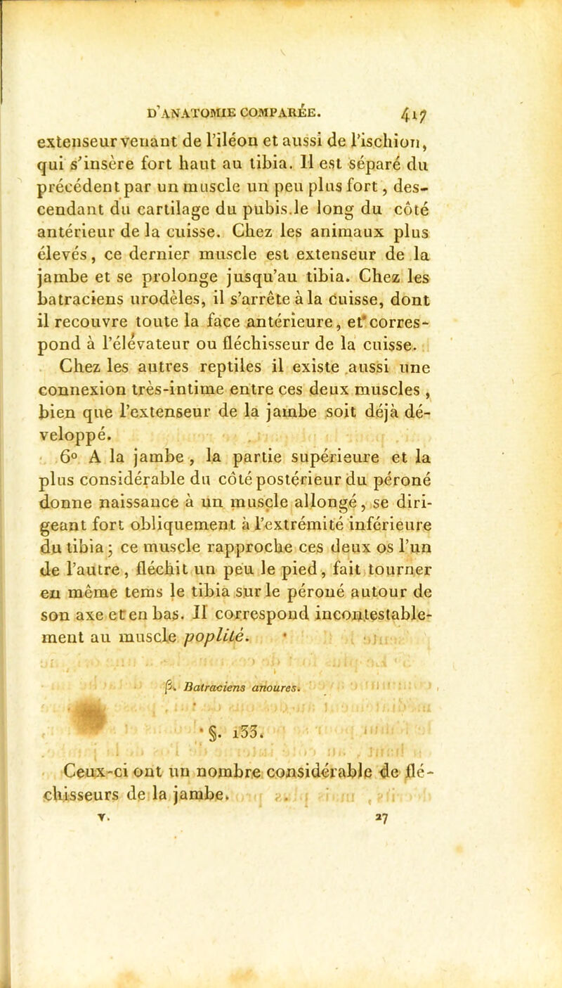 extenseur venant de l’iléon et aussi de l’ischion, qui s’insère fort haut au tibia. 11 est séparé du précédent par un muscle un peu plus fort, des- cendant du cartilage du pubis.le long du côté antérieur de la cuisse. Chez les animaux plus élevés, ce dernier muscle est extenseur de la jambe et se prolonge jusqu’au tibia. Chez les batraciens urodèles, il s’arrête à la duisse, dont il recouvre toute la face antérieure, efcorres* pond à l’élévateur ou fléchisseur de la cuisse. Chez les autres reptiles il existe .aussi une connexion très-intime entre ces deux muscles , bien que l’extenseur de la jambe soit déjà dé- veloppé. • 6° A la jambe , la partie supérieure et la plus considérable du côté postérieur du péroné donne naissance à un muscle allongé, se diri- geant fort obliquement à l’extrémité inférieure du tibia j ce muscle rapproche ces deux os l’un de l’autre, fléchit un peu le pied, fait tourner en même tems le tibia sur le péroné autour de son axe ecen bas. II correspond incontestable- ment au muscle Batraciens anoures. * 1 • §. i55. * Ceux-ci ont un nombre considérable de flé- chisseurs de la jambe» . » T. 27