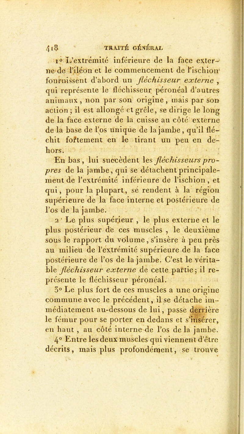 I® L’extrémilé inférieure de la face exler- nc'de i’iléon et le commencement de l’ischion' fournissent d’abord un jiéchisseur externe , qui représente le fléchisseur péronéal d’autres animaux, non par son origine , mais par son action ; il est allongé et grêle, se dirige le long de la face externe de la cuisse au côté externe de la base de l’os unique de la jambe, qu’il flé- chit foîtement en le tirant un peu en de- hors. En bas , lui succèdent les fléchisseurs pro- pres de la jambe, qui se détachent principale- ment de l’extrémité inférieure de l’ischion, et qui, pour la plupart, së rendent à la région supérieure de la face interne et postérieure de l’os de la jambe. 2 ' Le plus supérieur , le plus externe et le plus postérieur de ces muscles , le deuxième sous le rapport du volume, s’insère à peu près au milieu de l’extrémité supérieure de la face postérieure de l’os de la jambe. C’est le vérita- ble Jiéchisseur externe de cette partie; il re- présente le fléchisseur péronéal. 3° Le plus fort de ces muscles a une origine commune avec le précédent, il se détache im- médiatement au-dessous de lui, passe derrière le fémur pour se porter en dedans et s’insérer, en haut , au côté interne de l’os delà jambe. 4® Entre les deux muscles qui viennent d’être décrits, mais plus profondément, se trouve