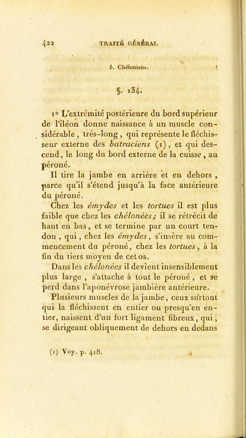 b. Cbéloniens. ^ §• i34* 1° L^exlrcmité posiérieure du bord supérieur de l’iléon donne naissance à un muscle con- sidérable , très-long , qui représente le fléchis- seur externe des batraciens (i) , et qui des- cend , le long du bord externe de la cuisse, au péroné. Il tire la jambe en arrière et en dehors , parce qu’il s’étend jusqu’à la face antérieure du péroné. Chez les émjdes et les tortues il est plus faible que chez les chélonéès; il se rétrécit de haut en bas, et se termine par un court ten- don , qui, chez les émjdes ^ s’insère au com- mencement du péroné, chez les tortues ^ à la fin du tiers moyen de cet os. Dans les chélonéès il devient insensiblement plus large , s’attache à tout le péroné , et se perd dans l’aponévrose jambière antérieure. Plusieurs muscles de la jambe, ceux surtout qui la fléchissent en entier ou presqu’en en- tier, naissent d’un fort ligament fibreux, qui, se dirigeant obliquement de dehors eu dedans (i) Voy. p. 4i8.