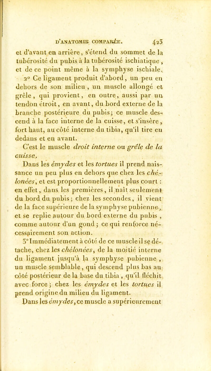 et d’avant en arrière, s’étend du sommet de la tubérosité du pubis à la tubérosité ischiatiquc , et de ce point même à la symphyse ischiale^ 2° Ce ligament produit d’abord, un peu en dehors de son milieu , un muscle allongé et grêle, qui provient, en outre, aussi par uu tendon étroit, en avant, du bord externe de la branche postérieure du pubis; ce muscle des-= ceud à la face interne de la cuisse, et s’insère, fort haut, au côté interne du tibia, qu’il tire en dedans et en avant. C’est le muscle droit interne ou grêle de la cuisse. Dans les émjdes et les tortues il prend nais- sance un peu plus en dehors que chez les ché- louées^ et est proportionnellement plus court : en effet, dans les premières, il naît seulement du bord du pubis ; chez les secondes,, il vient' de la face supérieure de la symphyse pubienne, et se replie autour du bord externe du pubis , comme autour d’un gond ; ce qui renforce né- cessfiirement son action. 5° Immédiatement à coté de ce muscle il se dé- tache, chez les chélonées^ de la moitié interne du ligament jusqu’à la symphyse pubienne ,, un muscle semblable, qui descend plus bas au côté postérieur de la base du tibia , qu’il fléchit avec force ; chez les émjdes et les tortues il prend origine du milieu du ligament. Dans les éniydes^ce muscle a supérieurement