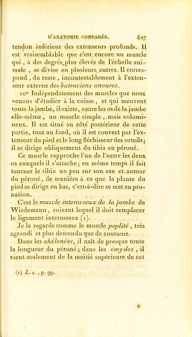 d’anatomie COMPAllilE. 4‘J7 tendon inférieur des extenseurs profonds. 11 est vraisemblable que c’est encore un muscle qui , à des degrcs.plus élevés de l’échelle ani- male , se divise en plusieurs^autres. 11 corres- pond , du reste , incontestablement à l’exten- seur externe des batraciens anoures. 10° Indépendamment des muscles que noue venons d’étudier à la cuisse , et qui meuvent toute la jambe, il existe, entre les osde la jambe elle-même , un muscle simple , mais volumi- neux. 11 est situé au côté postérieur de cette partie, tout au fond, où il est couvert par l’ex- Icnseur du pied et le long fléchisseur des orteils j il se dirige obliquement du tibia au péroné. Ce muscle rapproche l’un de l’autre les deux os auxquels il s’attache j en même temps il fait tourner le tibia un peu sur son axe et.autour du péroné, de manière à ce que la plante du pied se dirige en bas, c’est-à-dire se met eu pro- nation. C’est le muscle interosseuæ de la jambe de Wiedemann , suivant lequel il doit remplacer le ligament interosseux (i). Je le regarde comme le muscle poplité , très agrandi et plus descendu que de coutume. Dans les chélonées^ il naît de presque toute la longueur du péroné j dans les émjdes , il vient seulement de la moitié supérieure de cet (i) L. c., p. 99. /