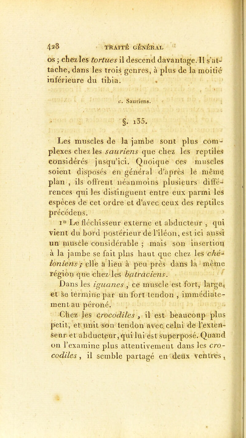OS ; chez les tortues il descend davantage. 11 s’at- tache, dans les trois genres, à plus de la moitié inférieure du tibia. I c. Sauriens. ' ; l35. Les muscles de la jambe sont plus com- plexes chez les sauriens que chez les reptiles considérés jusqu’ici. Quoique ces muscles soient disposés en général d’après le mêmô plan , ils offrent néanmoins plusieurs diffé- rences qui les distinguent entre eux parmi les espèces de cet ordre et d’avec ceux des reptiles précédens. I® Le fléchisseur externe et abducteur , qui vient du bord postérieur de l’iléon, est ici aussi un muscle considérable ; mais son insertion à la jambe se fait plus haut que chez les c/ze- loniens ; elle a lieu à peu près dans la même région que chez'les batraciens. Dans les iguanes , ce muscle est fort, large^ et S0 termine par un fort tendon , imniédiate- mentau péroné. Chez les crocodiles , il est beaucoup plus petit, et unit son tendon avec, celui de l’exten- seurJ et abducteur, qui lül est superposé. Quand on l’examine plus alteiitivemenl dans les cro- codiles , il semble partagé en'deux ventres ,
