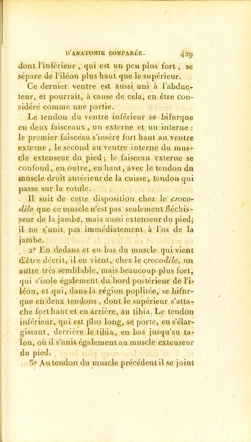 dont l’inférieur , qui est un peu plus fort , se sépare de l’iléon plus haut que le supérieur. Ce dernier ventre est aussi uni à l’abduc- teur, et pourrait, à cause de cela, en être con- sidéré comme une partie. Le tendon du ventre inférieur se bifurque en deux faisceaux, un externe et un interne : le premier faisceau s’insère fort haut au ventre externe , le second au ventre Interne du mus- cle extenseur du pied; le faisceau externe se confond, en outre, en haut, avec le tendon du muscle droit antérieur de la cuisse, tendon qui passe sur la rotule. _ 11 suit de cette disposition chez le croco- dile que ce muscle n’est pas seulement fléchis- seur de la jambe, mais aussi extenseur du pied: il ne s.’unit pas immédiatement à l’os de la jambe. 2° En dedans et en bas du muscle qui vient cL’être décrit, il en vient, chez le crocodile, un autre très semblable, mais beaucoup plus fort, qui s’isole également du bord postérieur de l’i- léon, et qui, dans la région poplitée, se bifur- que en'deiix tendons , dont le supérieur s’atta- che fort haut et en arrière, au tibia. Le tendon inférieur, qui est p’ius long, sq porte, en s’élar- gissant, derrière le tibia, en bas jusqu’au ta- lon, où il s’tinit également au muscle extenseur du pied. , 3° Au tendon du muscle précédent il se joint